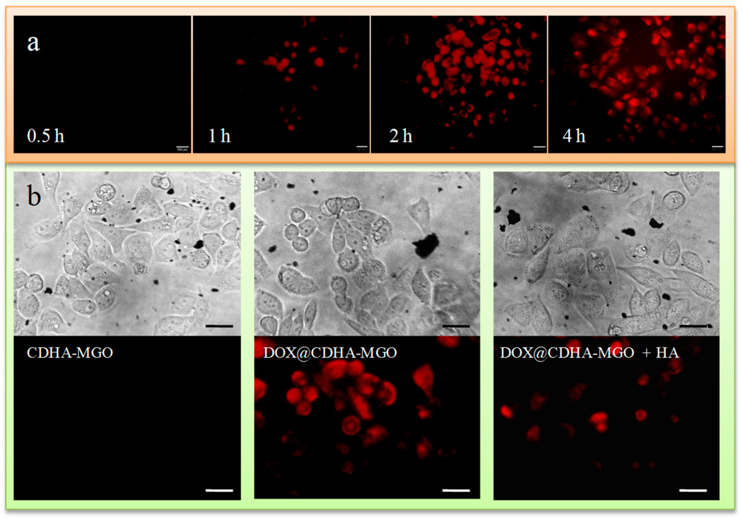 Polymers 11 00133 g006