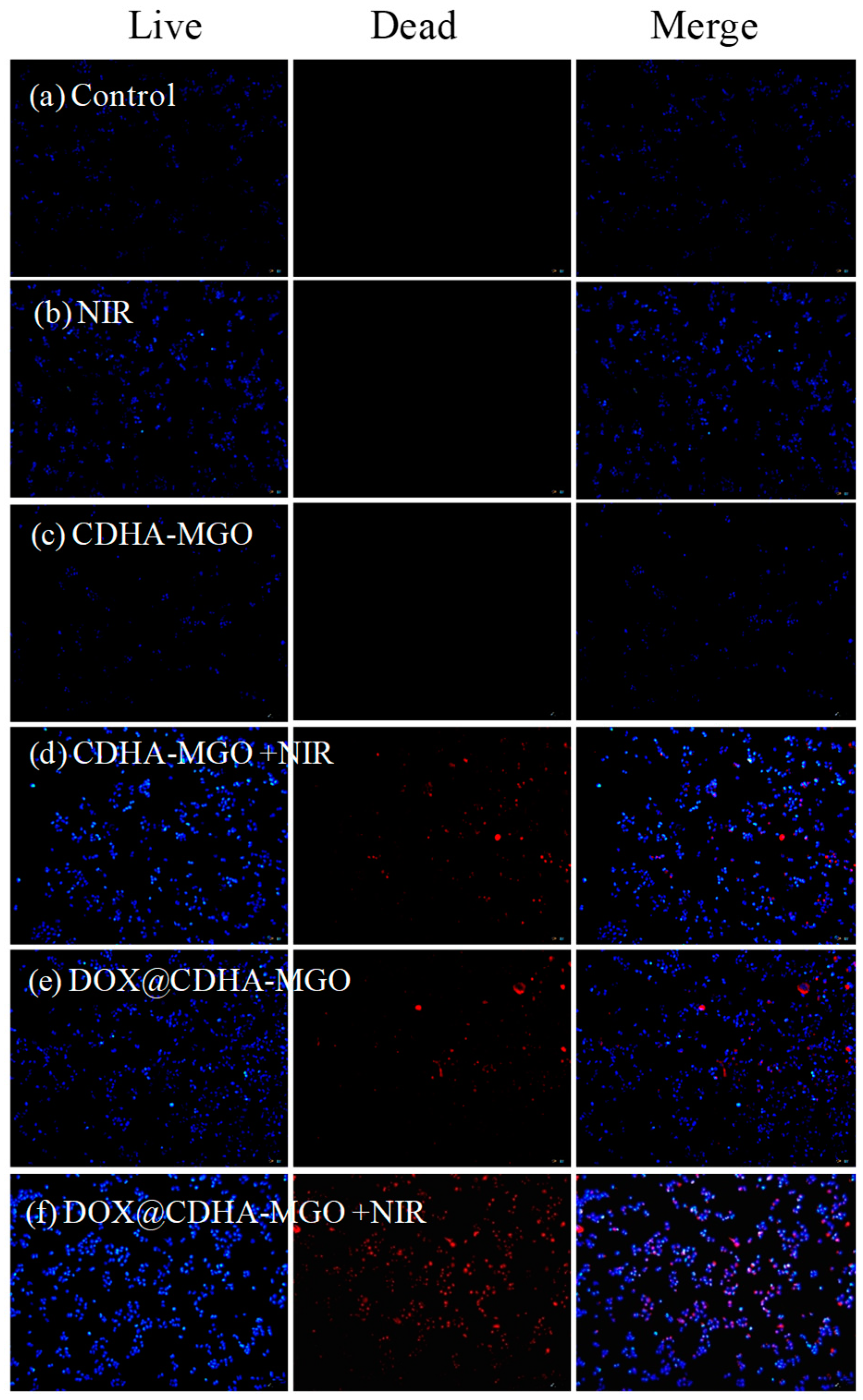 Polymers 11 00133 g007