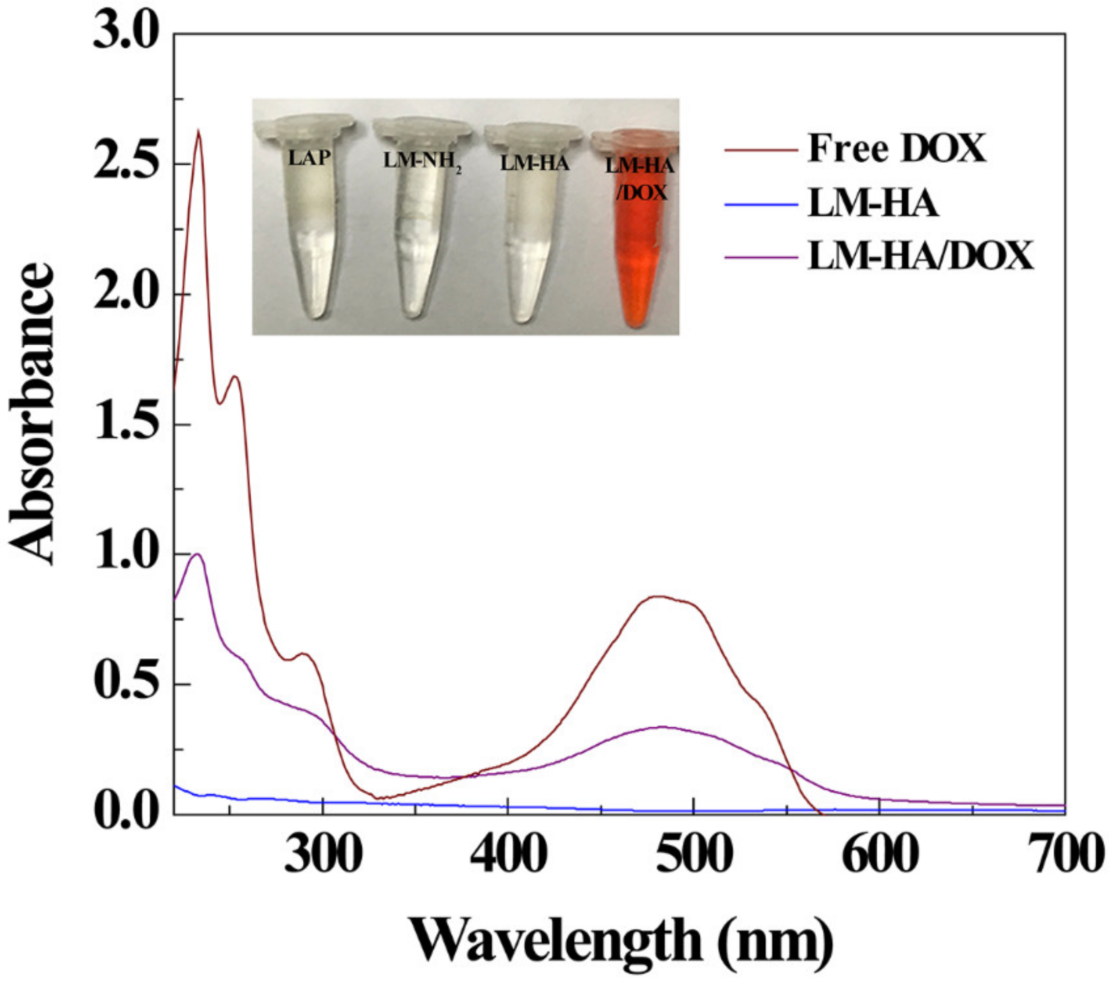 Polymers 11 00137 g004 Polymers 11 00137 g004