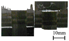 Polymers 11 00139 i006