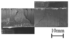 Polymers 11 00139 i007