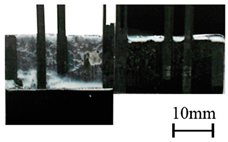 Polymers 11 00139 i009