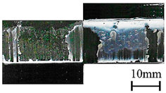 Polymers 11 00139 i010