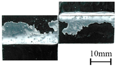 Polymers 11 00139 i014