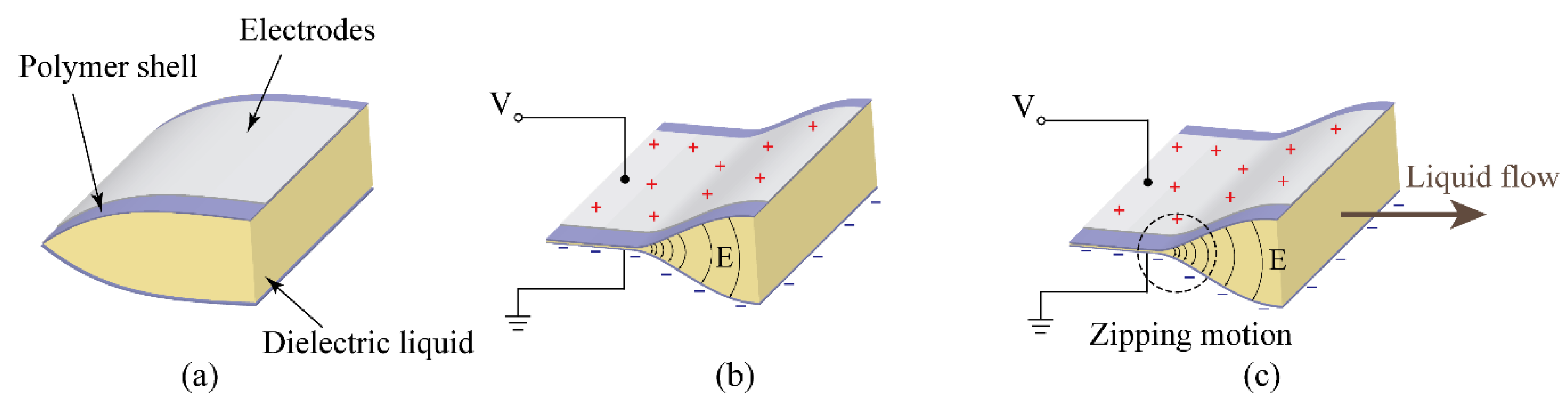 Polymers 11 00142 g001 Polymers 11 00142 g001