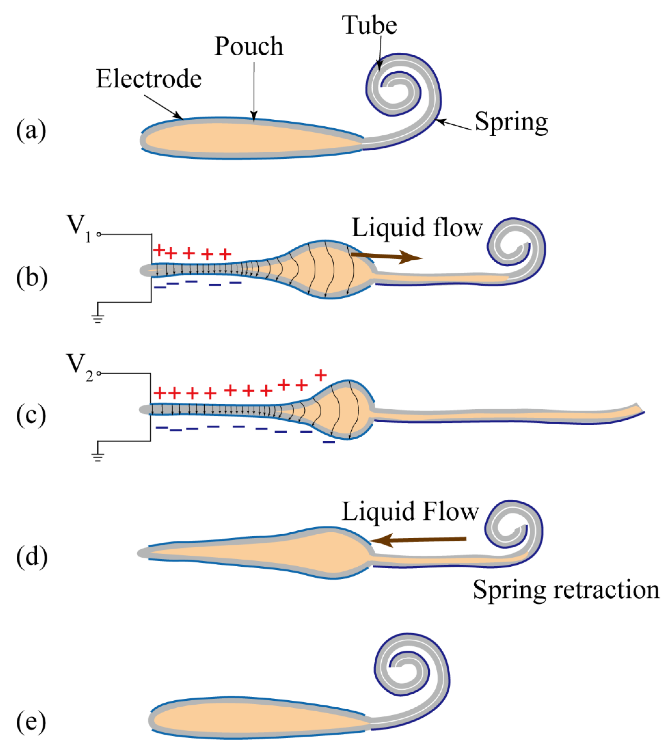 Polymers 11 00142 g002 Polymers 11 00142 g002