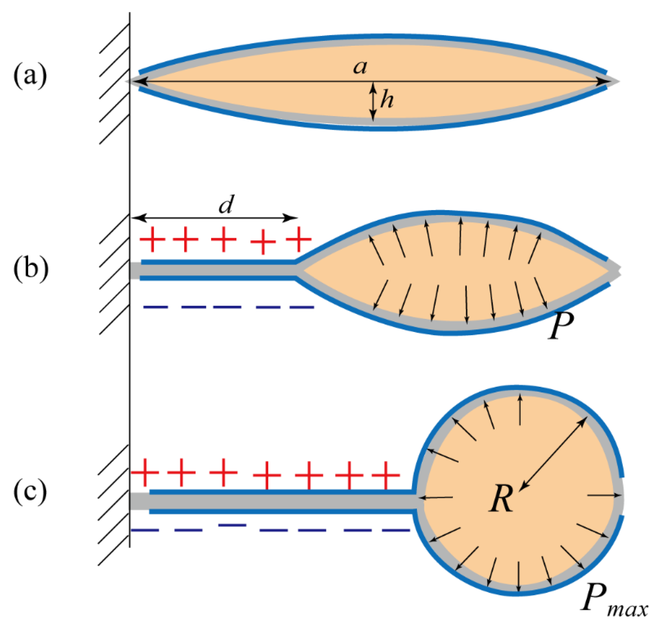 Polymers 11 00142 g004 Polymers 11 00142 g004