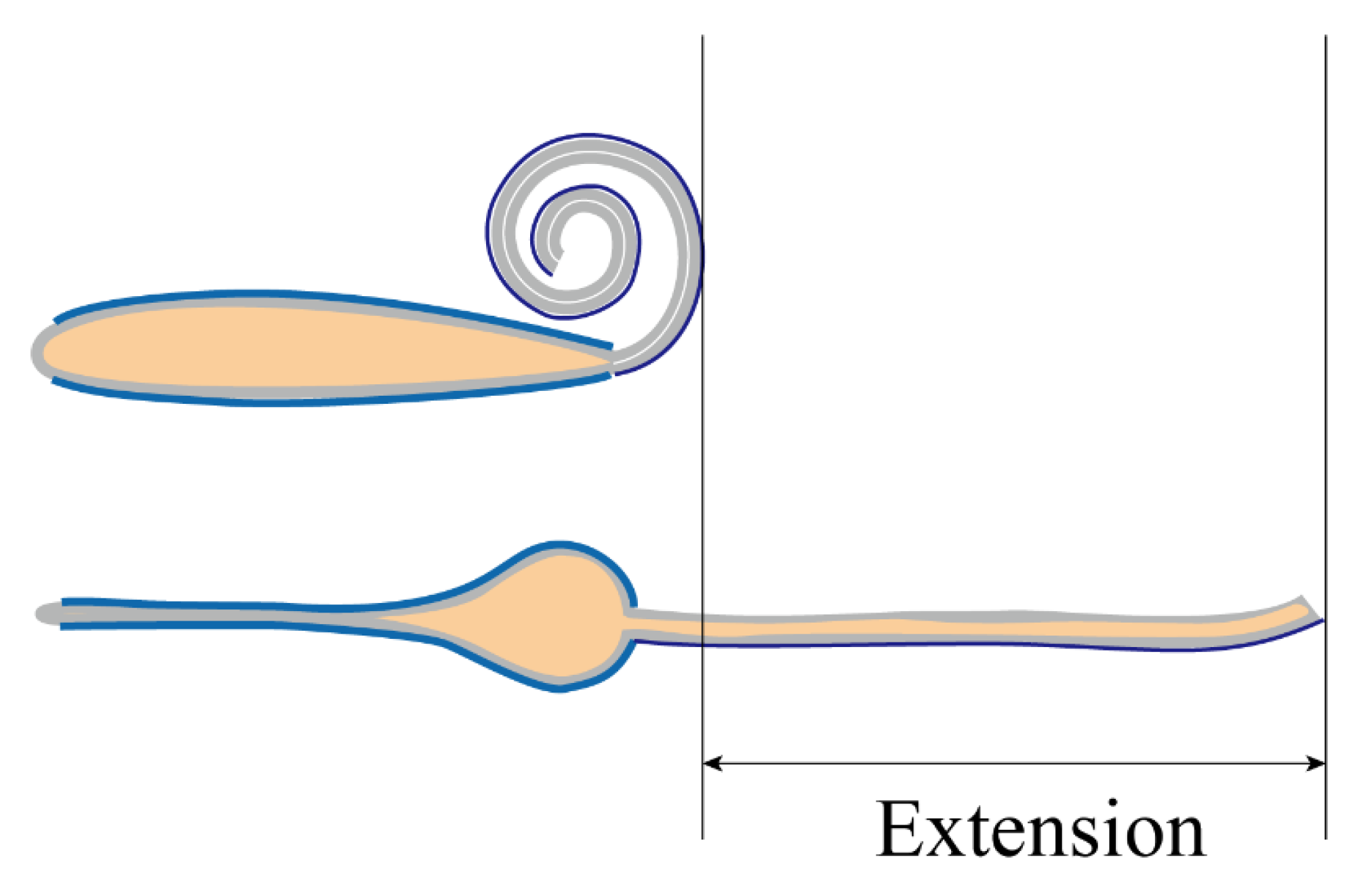 Polymers 11 00142 g010 Polymers 11 00142 g010