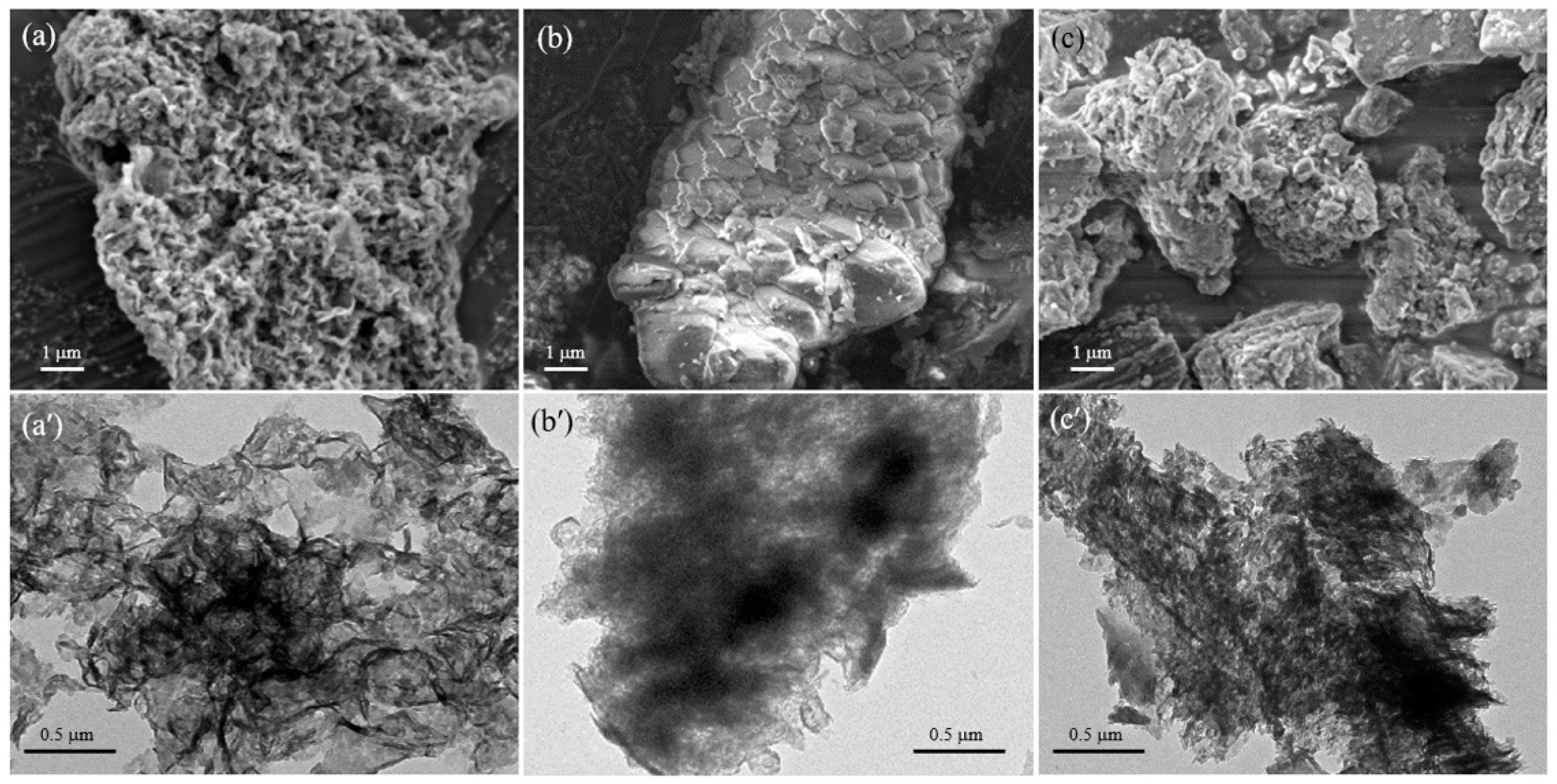 Polymers 11 00146 g002