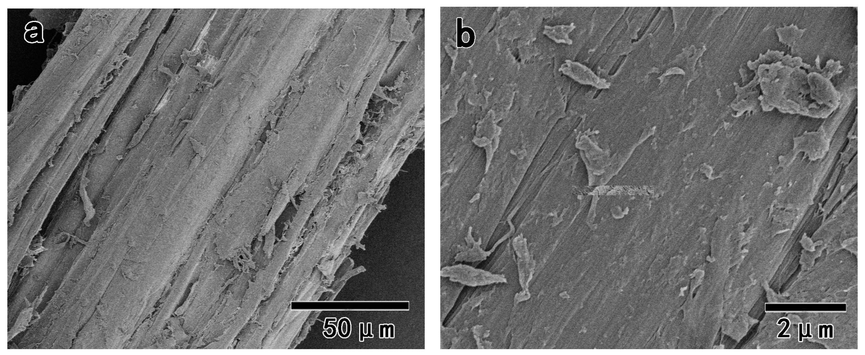 Polymers 11 00153 g005