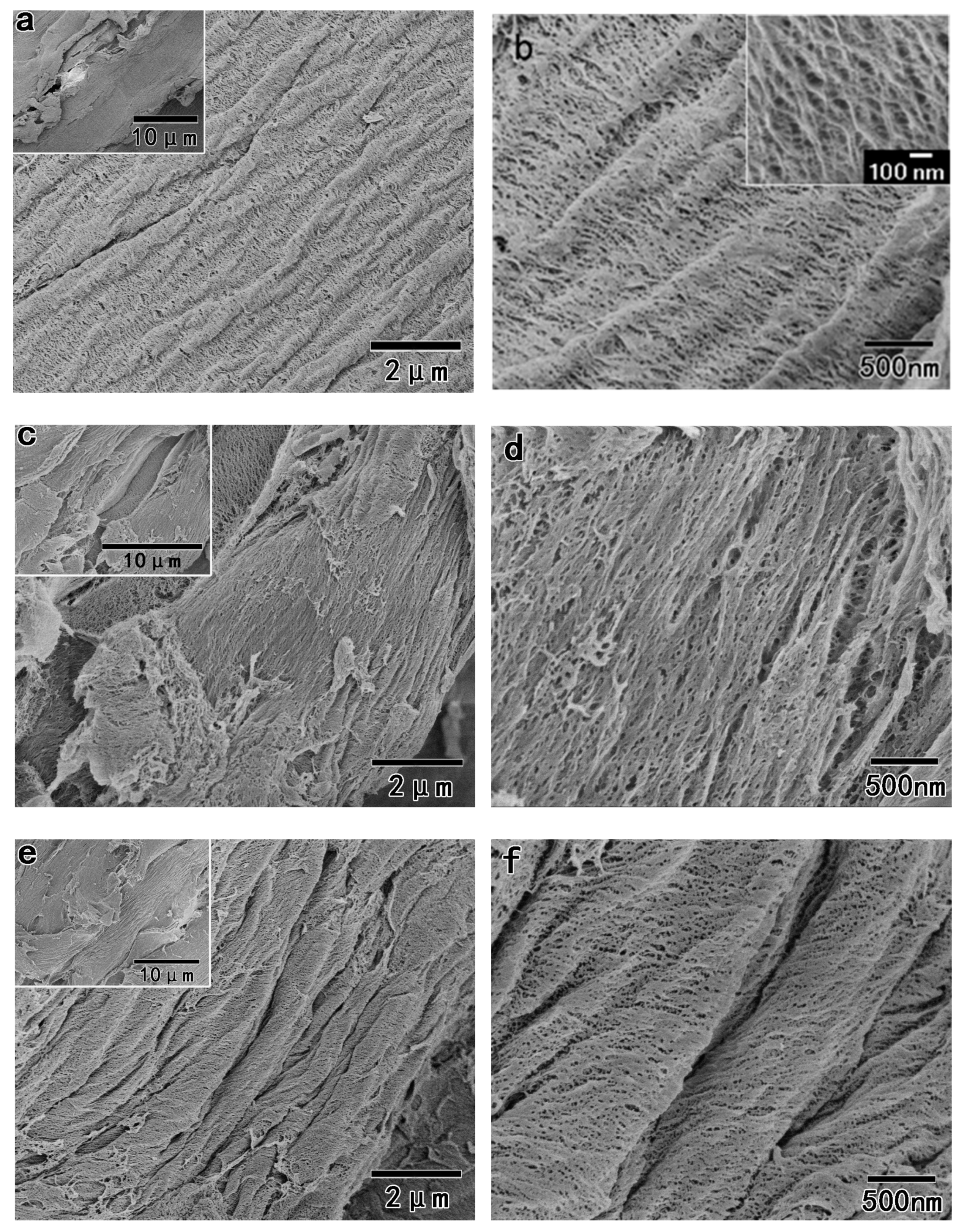 Polymers 11 00153 g006