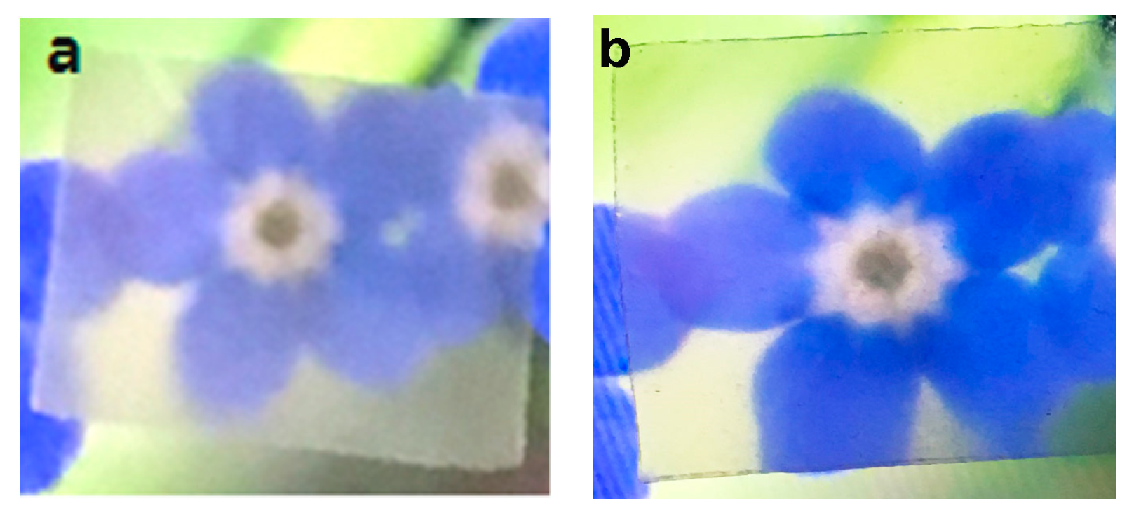 Polymers 11 00153 g011