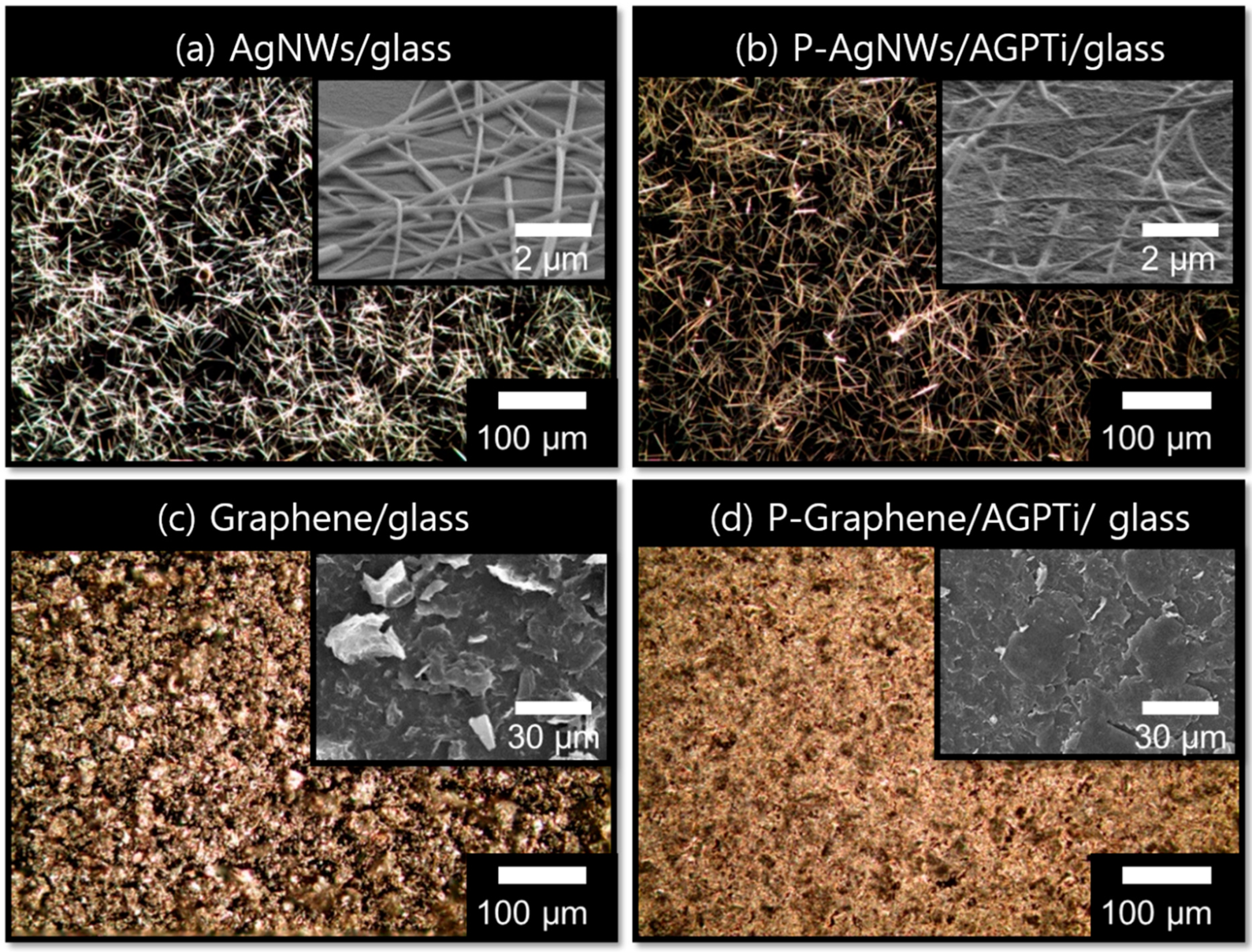 Polymers 11 00158 g005
