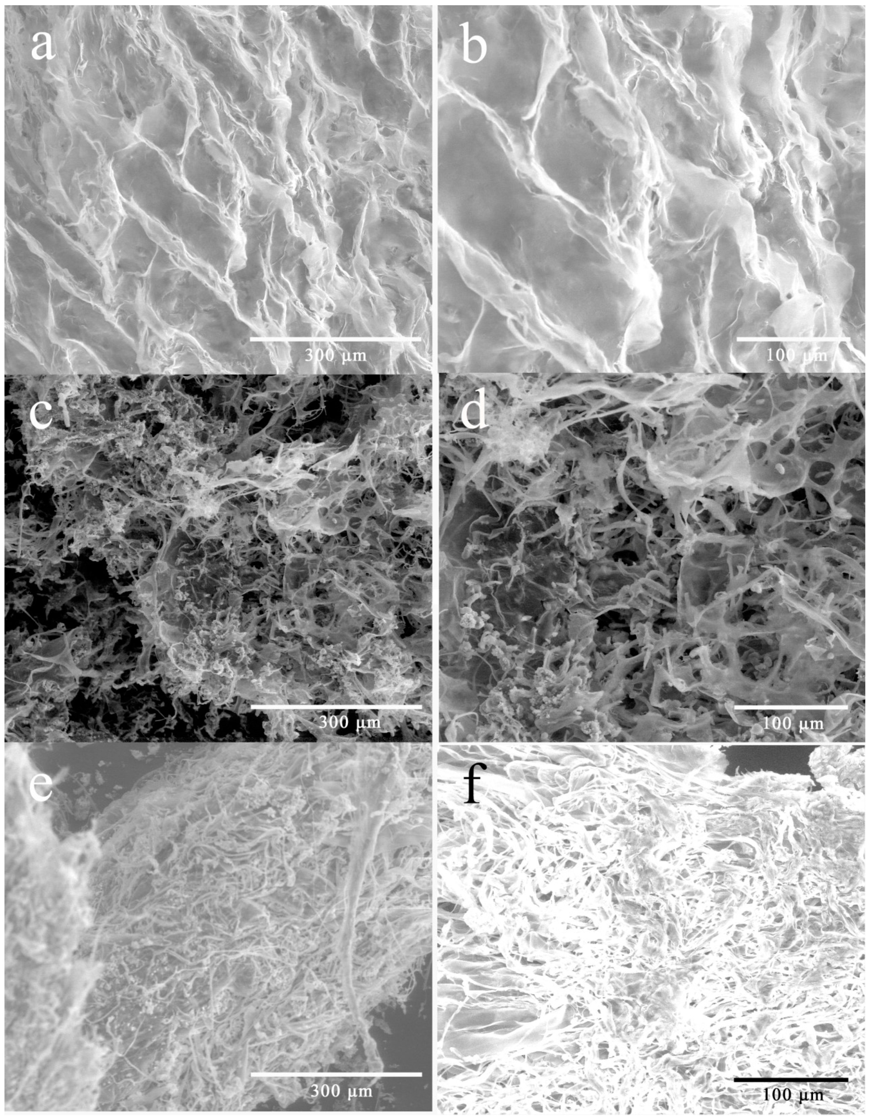 Polymers 11 00159 g004