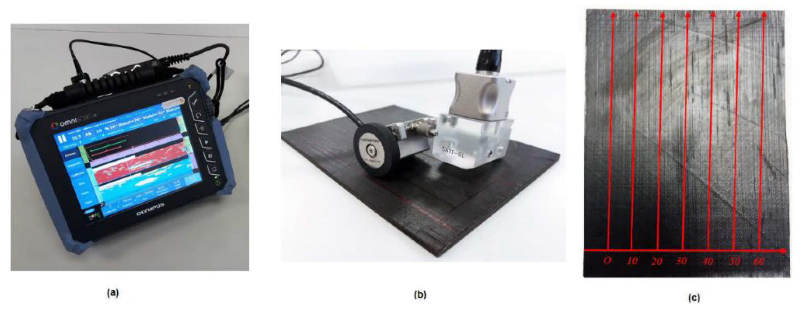 Polymers 11 00160 g004