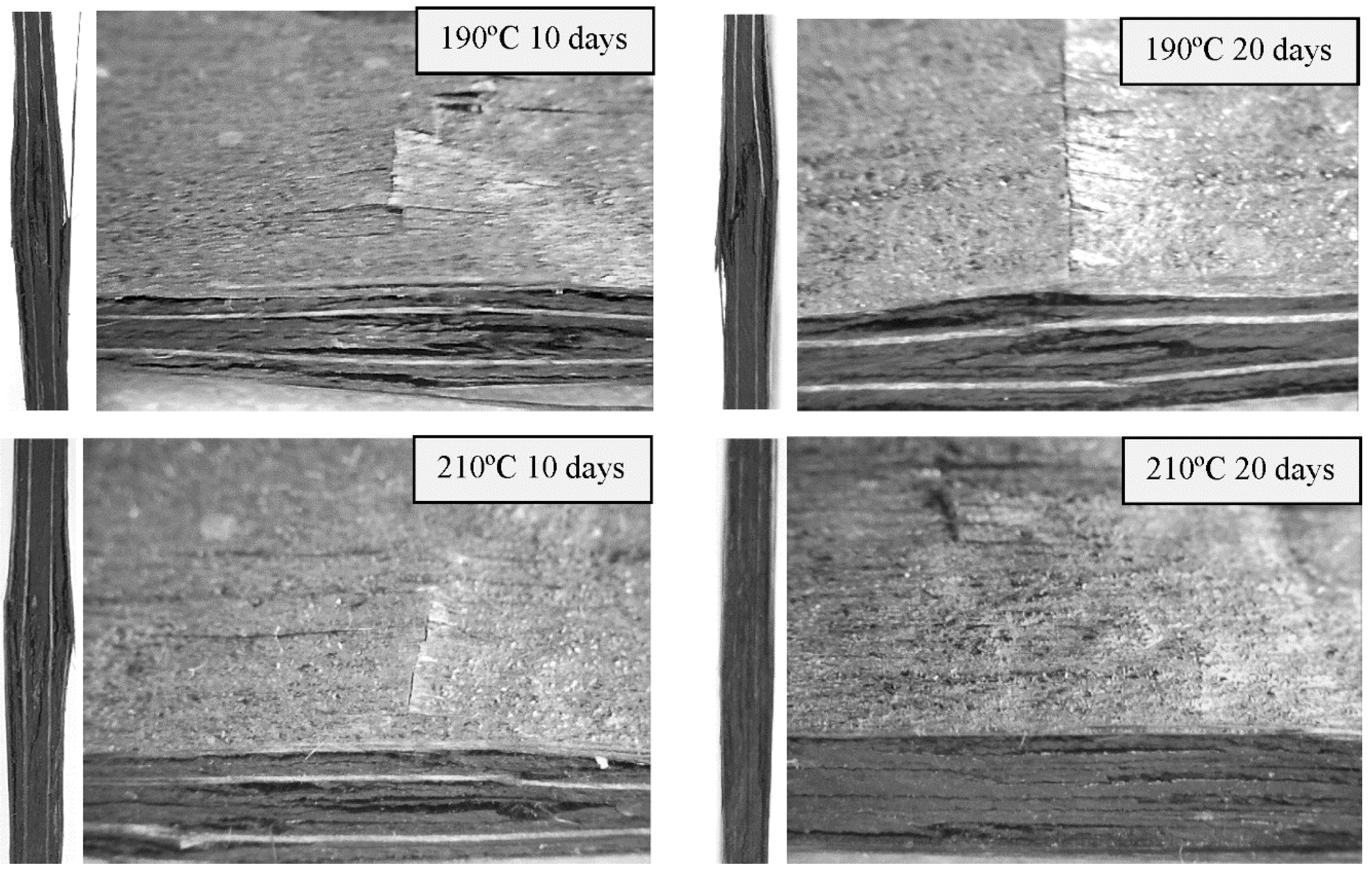 Polymers 11 00160 g009