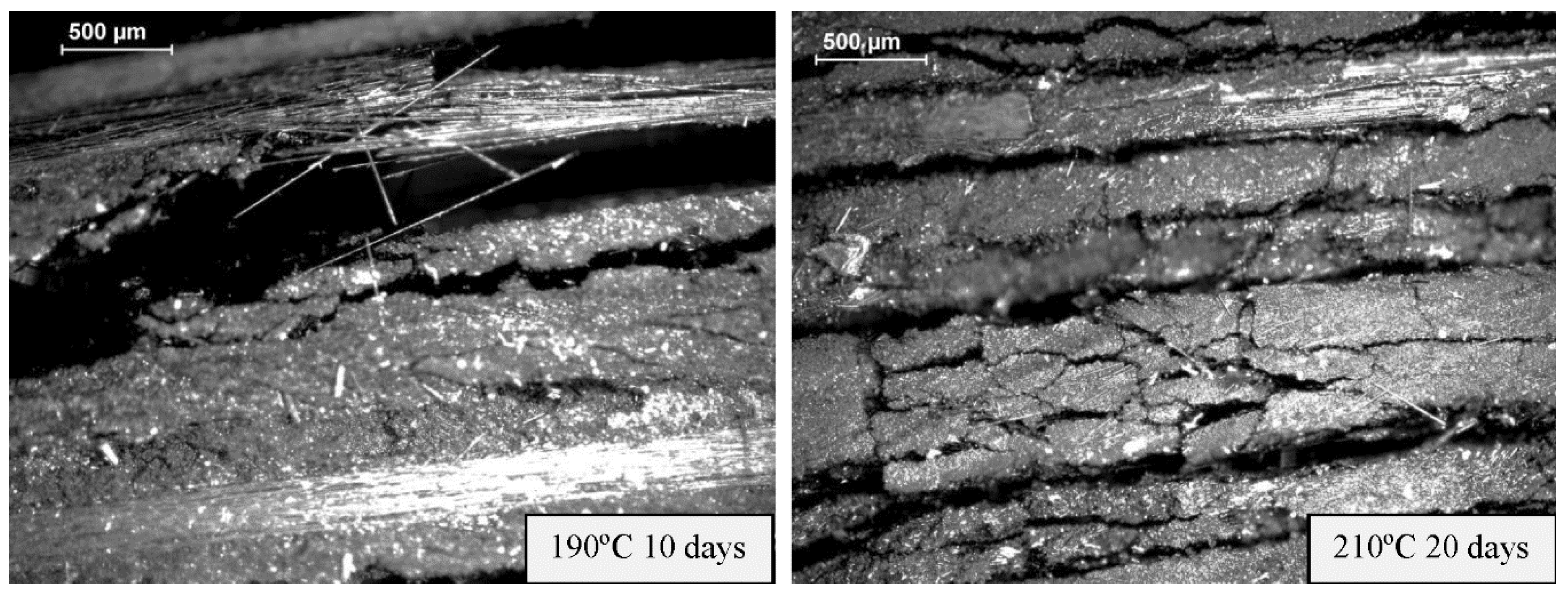 Polymers 11 00160 g010