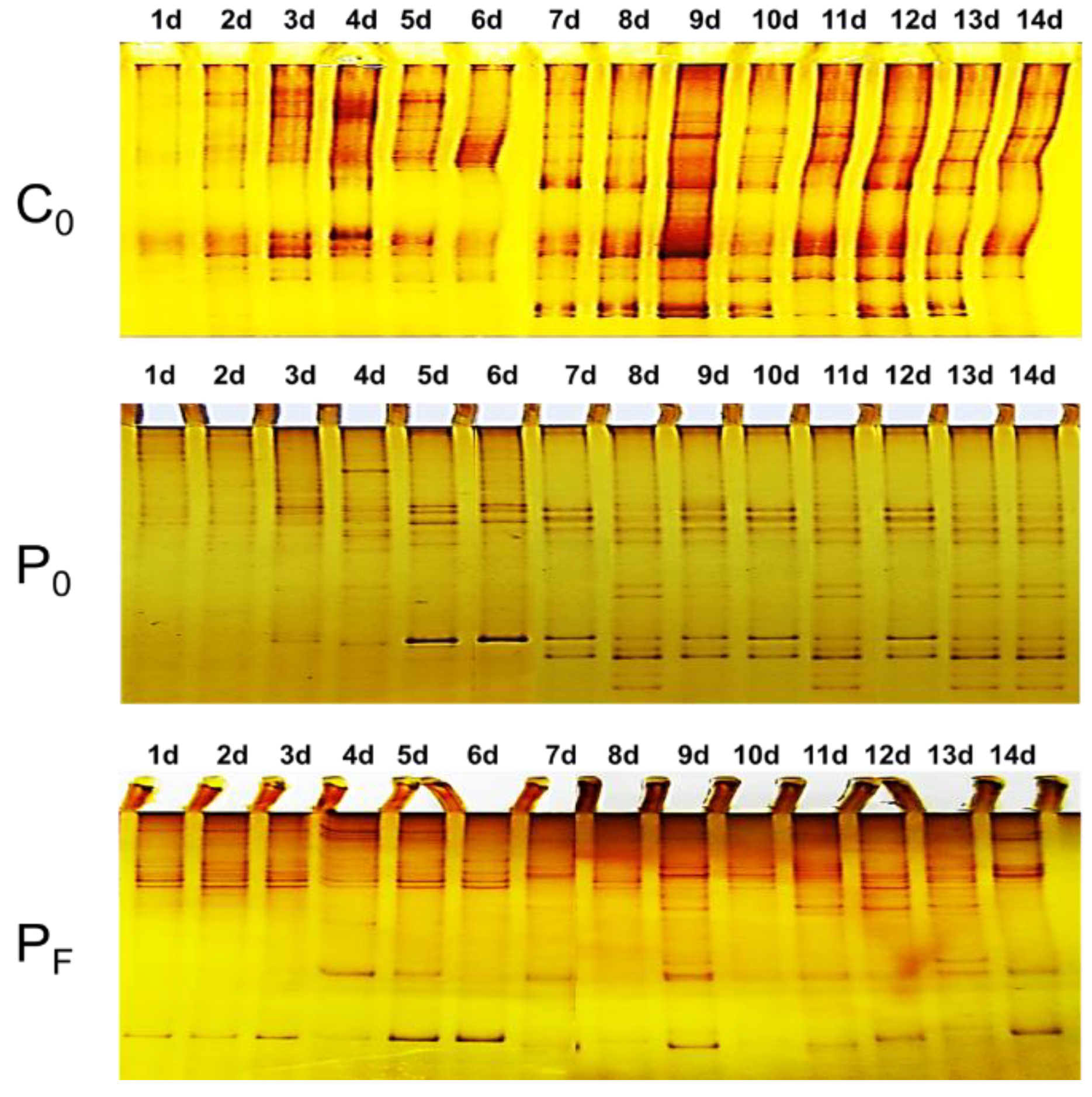 Polymers 11 00161 g003