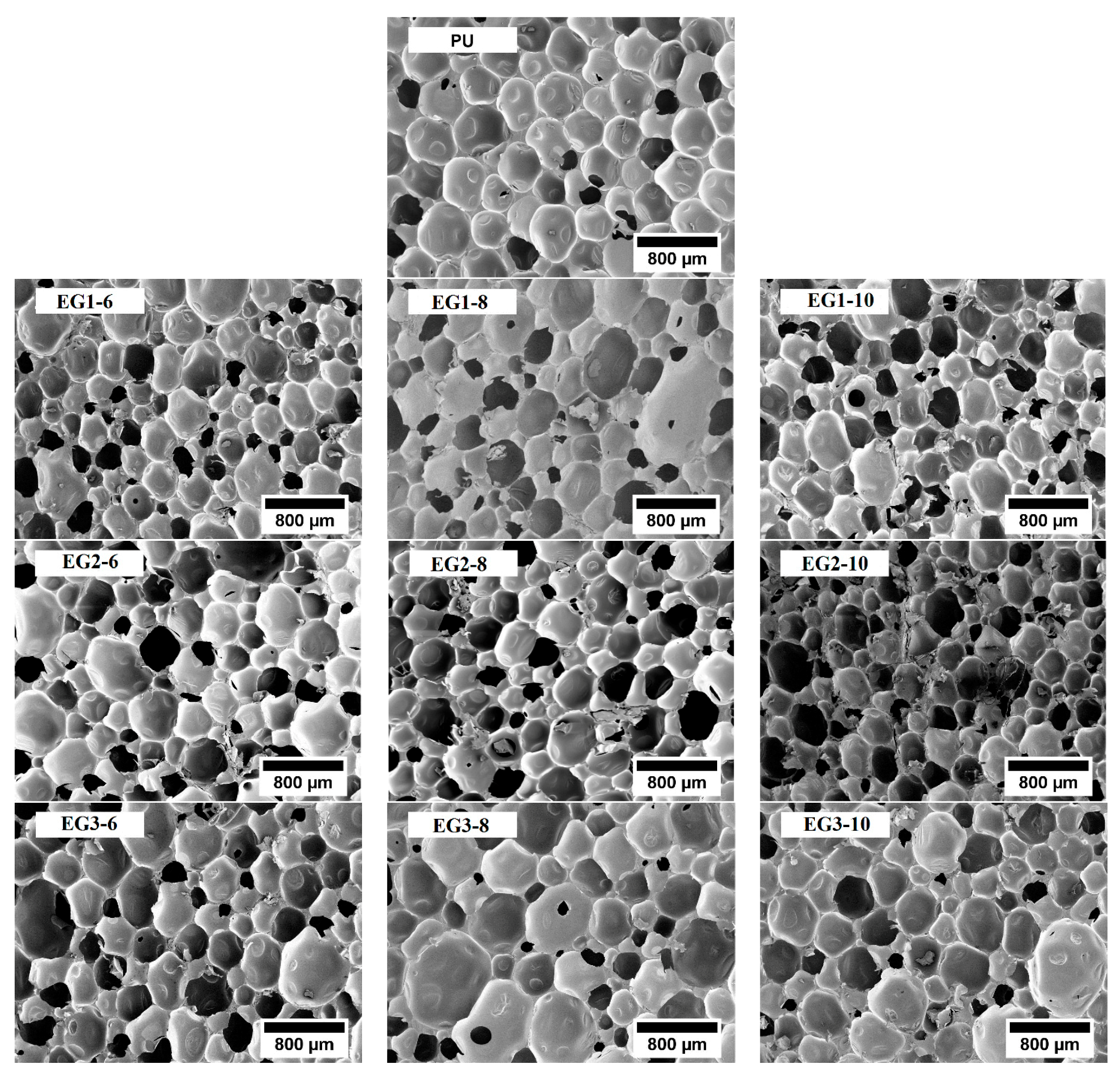 Polymers 11 00168 g001