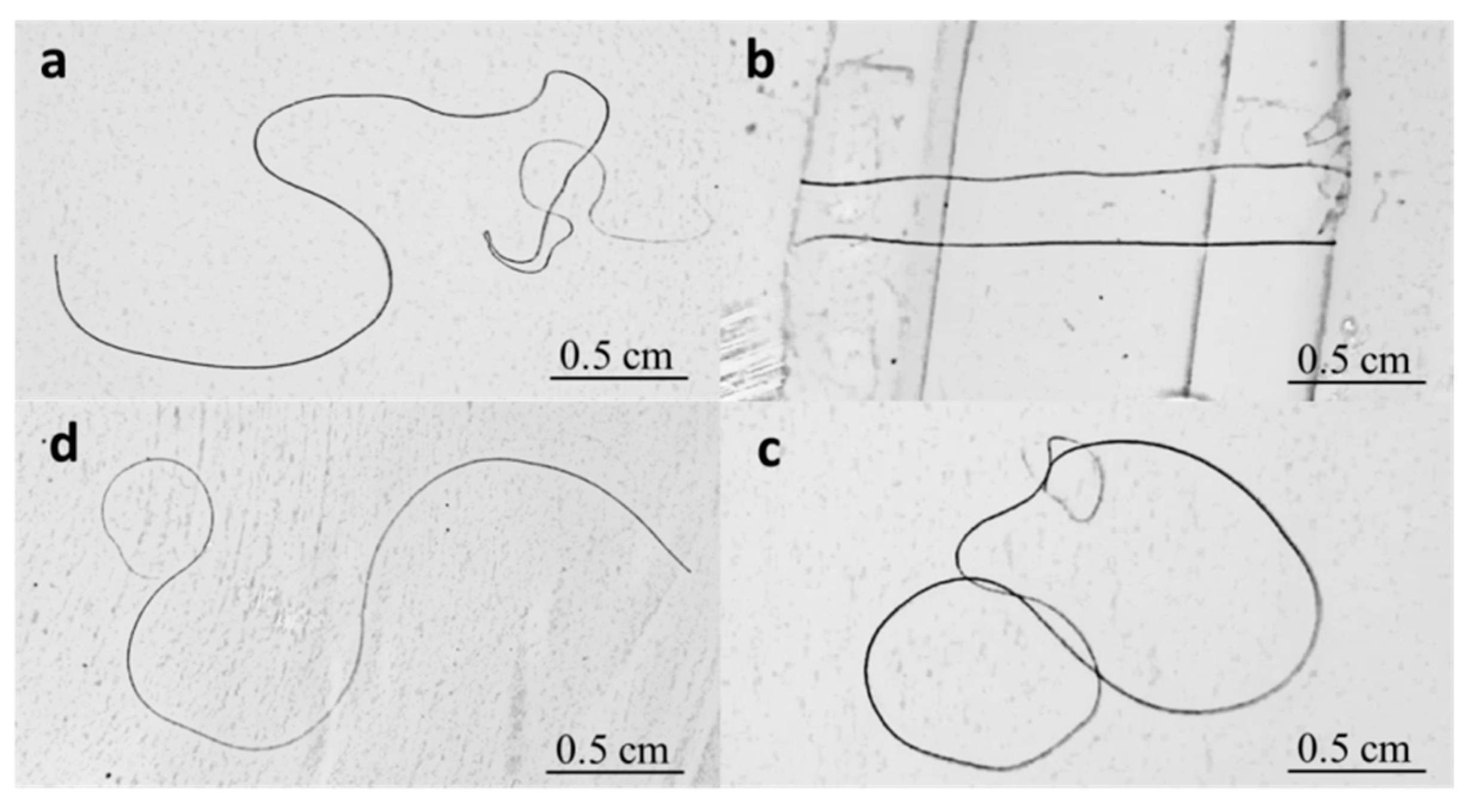 Polymers 11 00172 g004