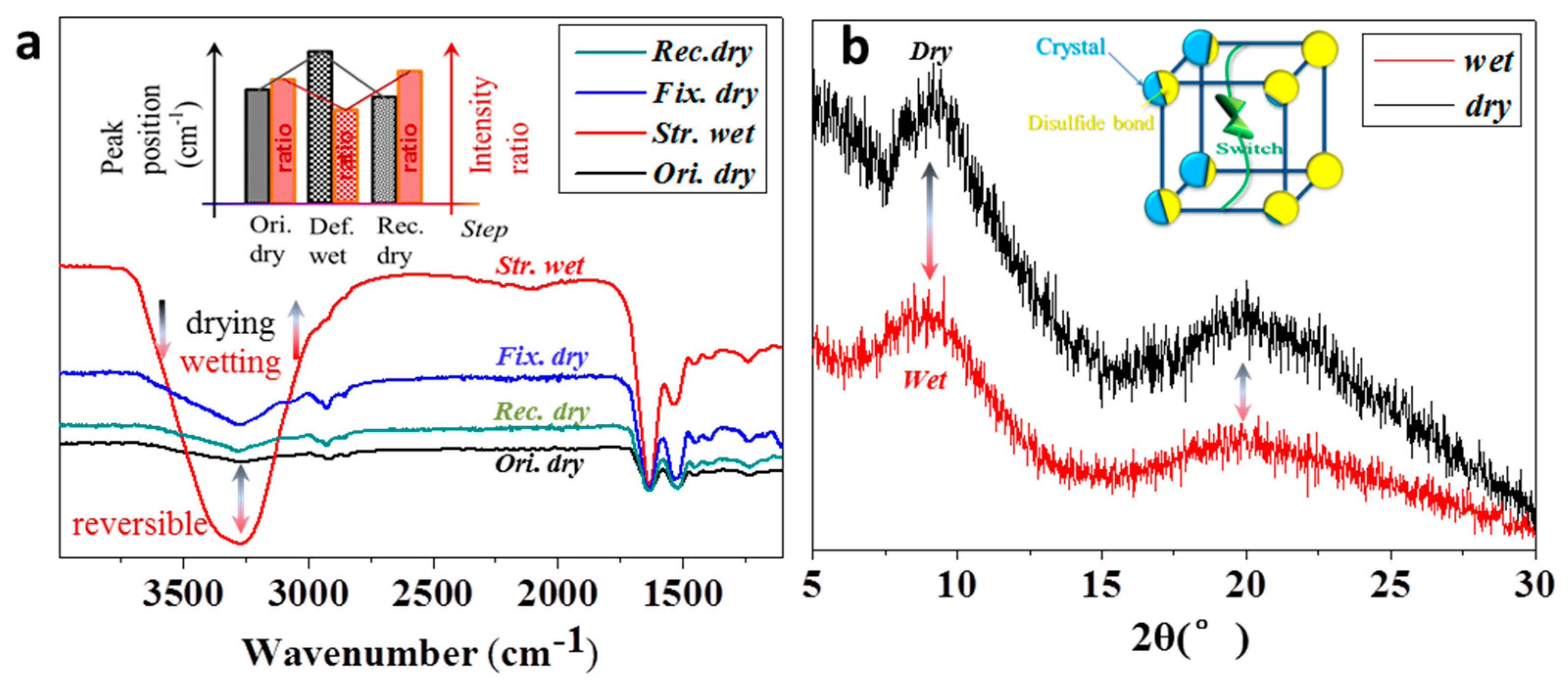 Polymers 11 00172 g006