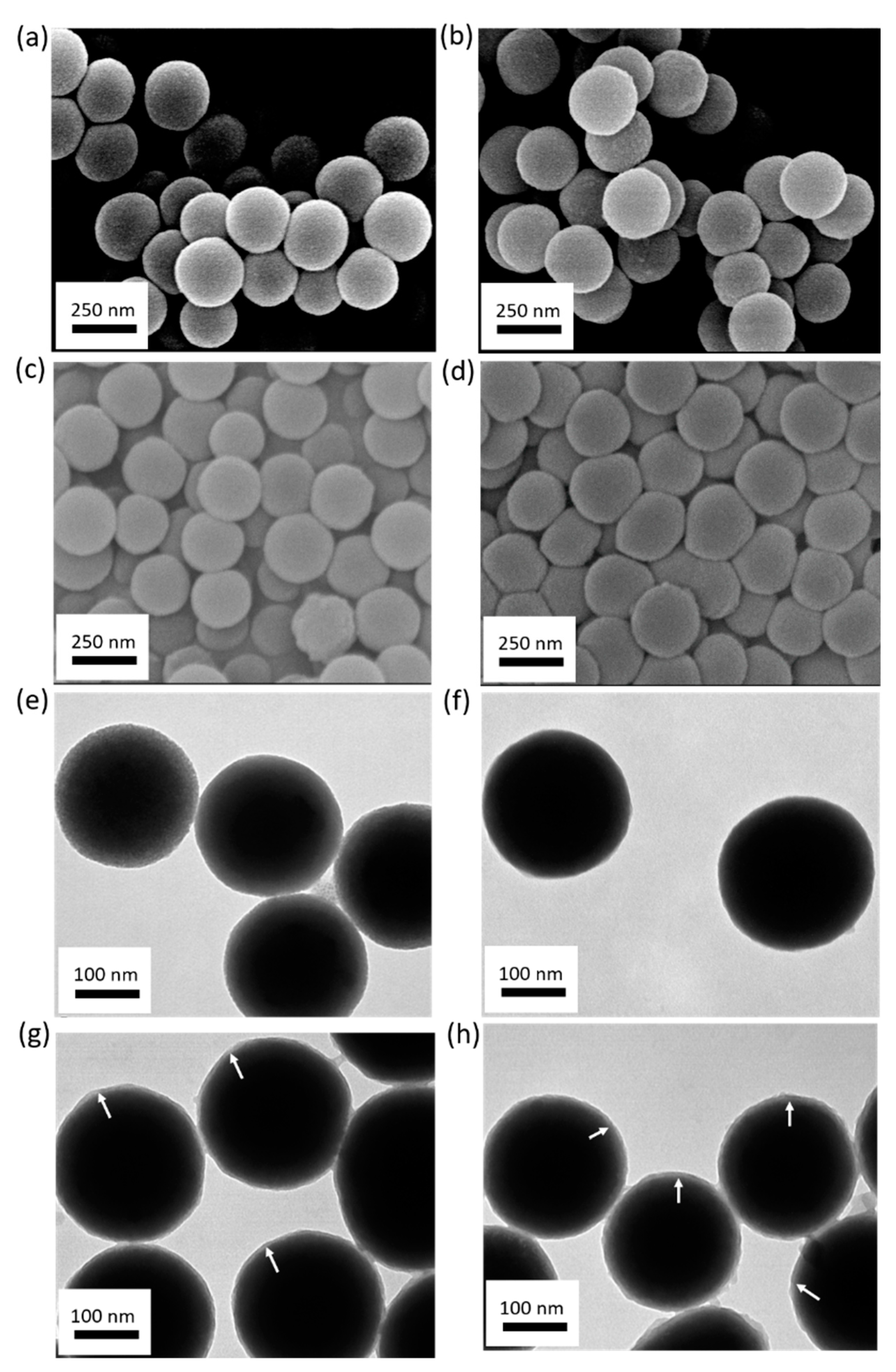 Polymers 11 00173 g002 Polymers 11 00173 g002