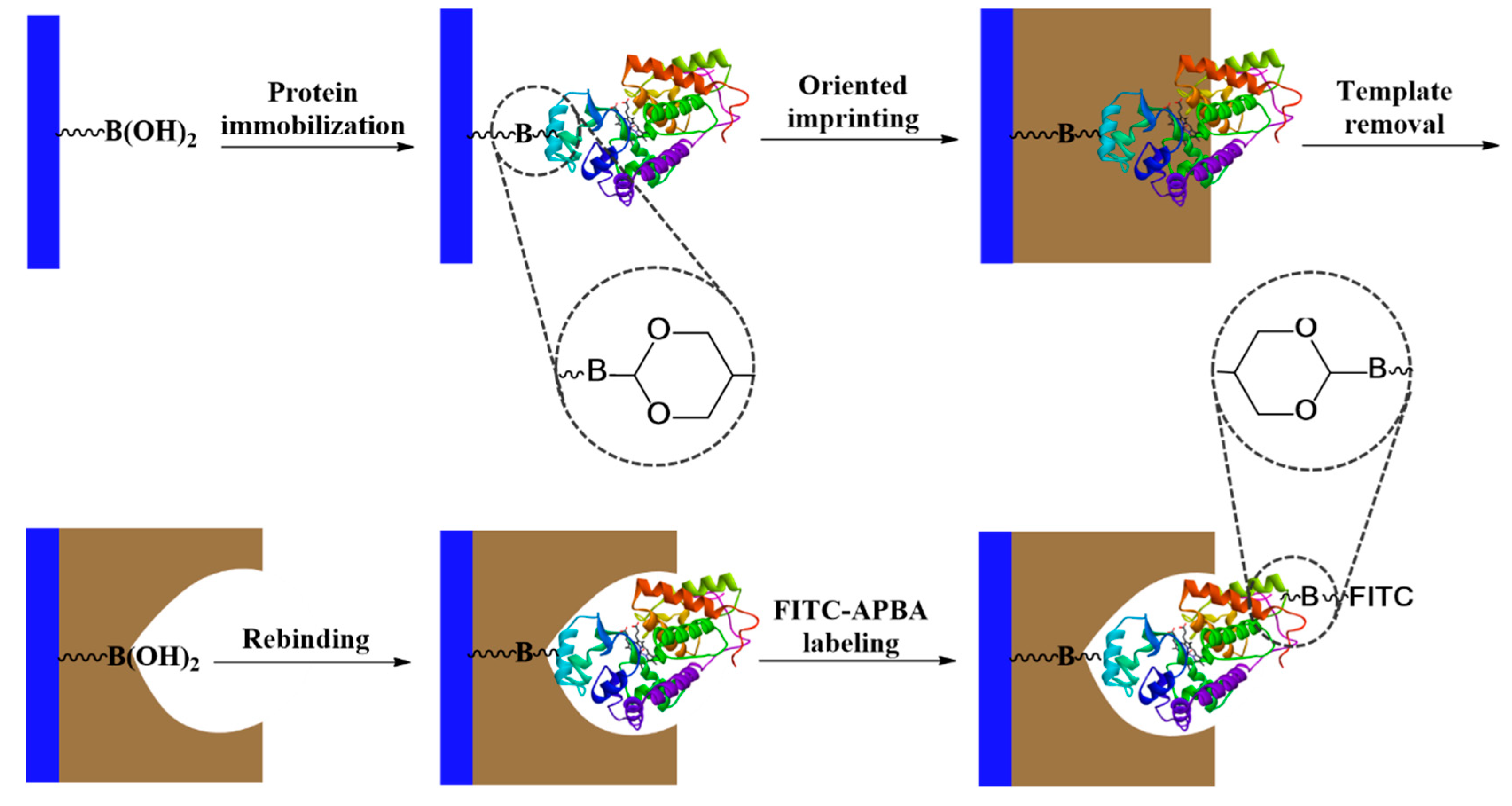 Polymers 11 00173 sch001 Polymers 11 00173 sch001