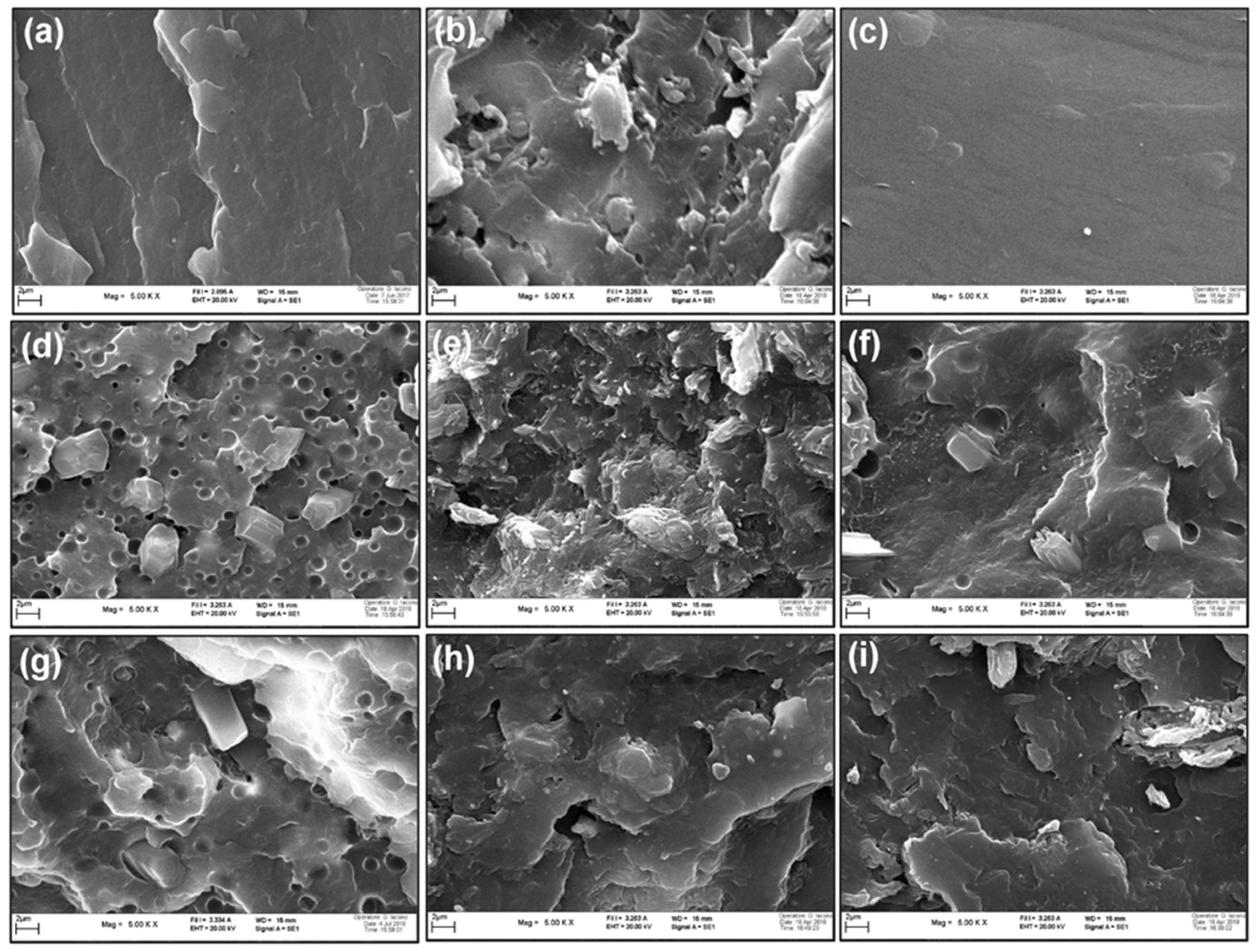 Polymers 11 00180 g001 Polymers 11 00180 g001