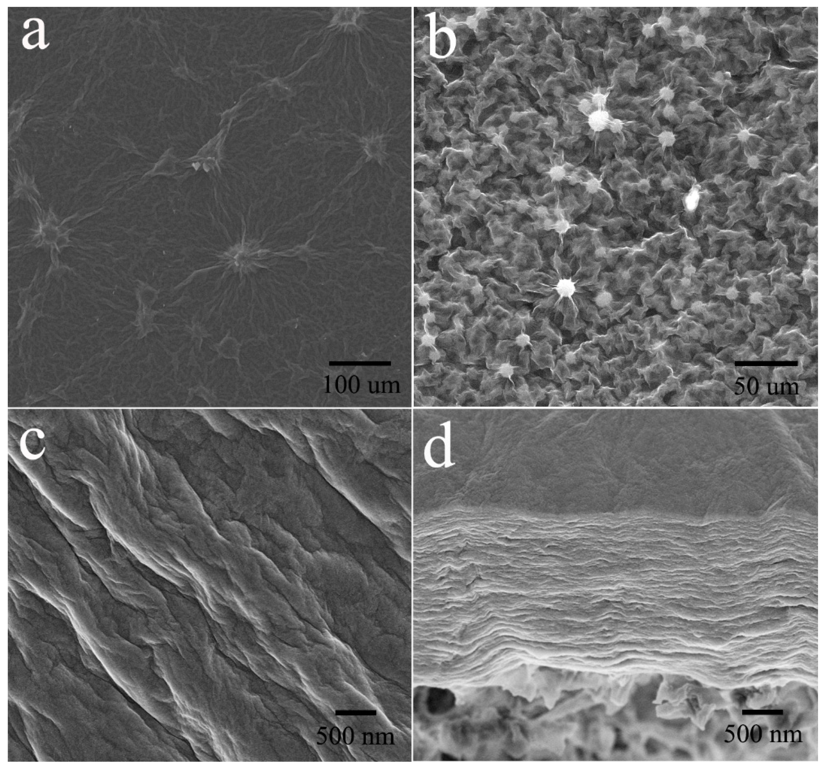 Polymers 11 00188 g002