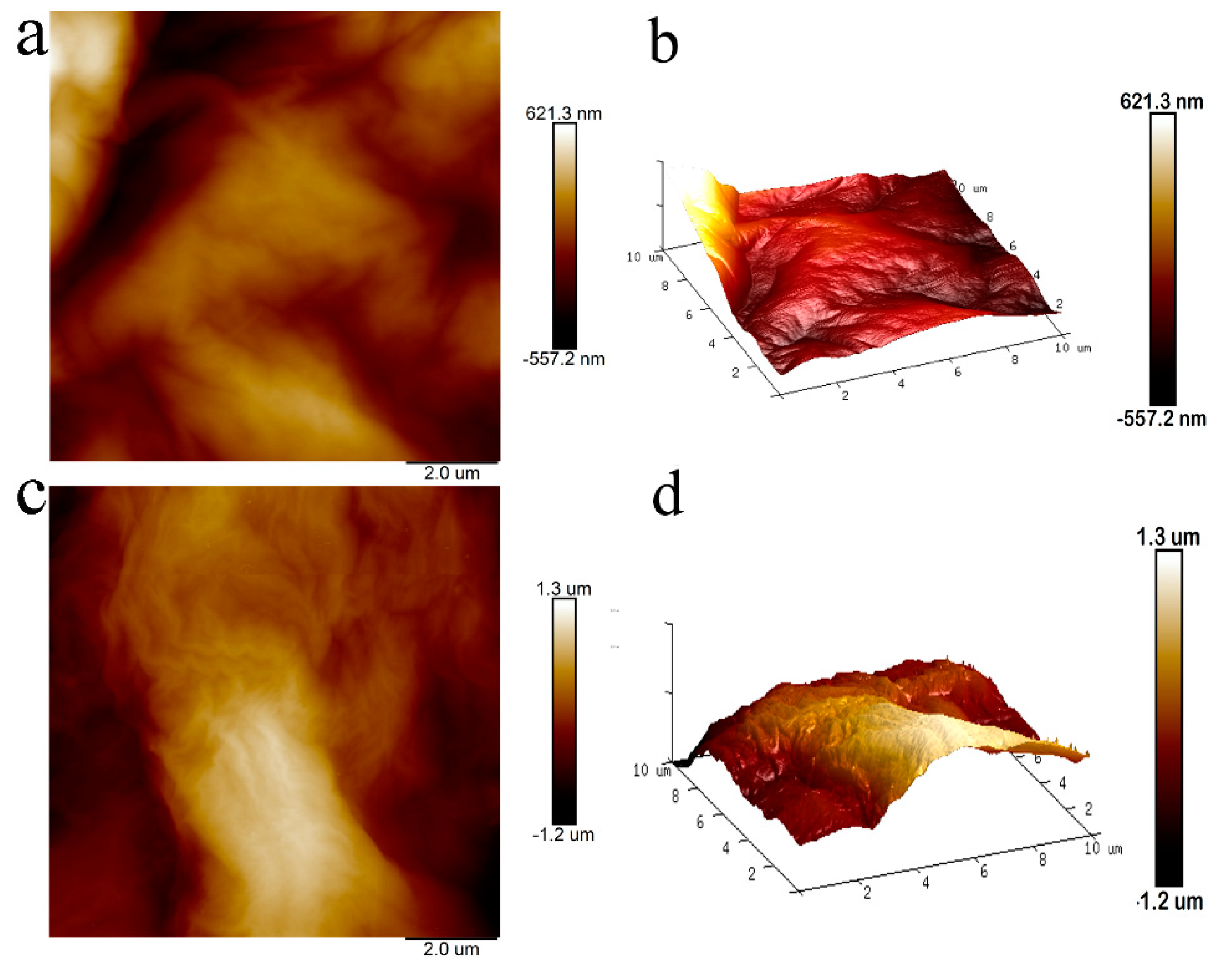 Polymers 11 00188 g009