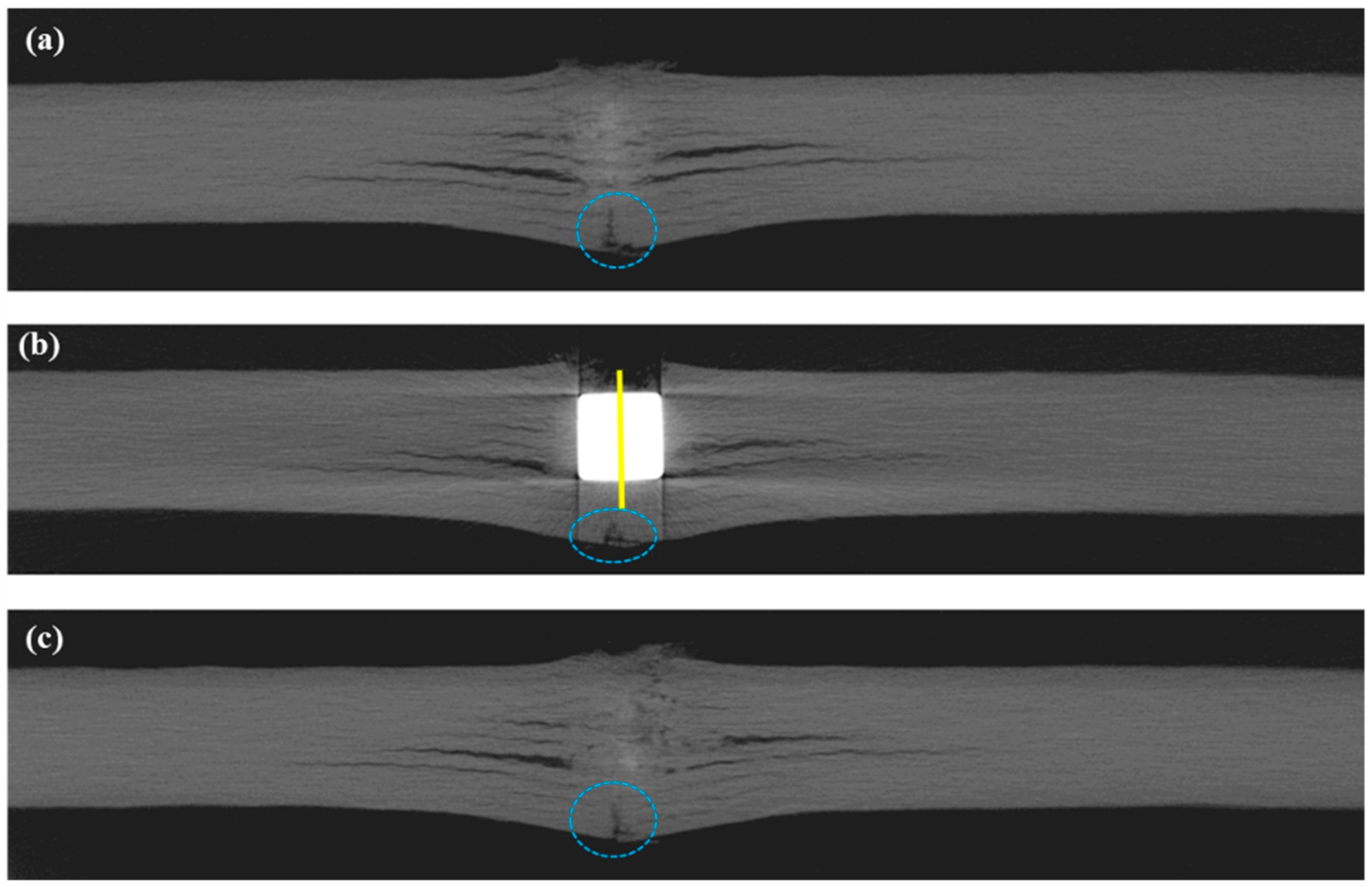 Polymers 11 00198 g005