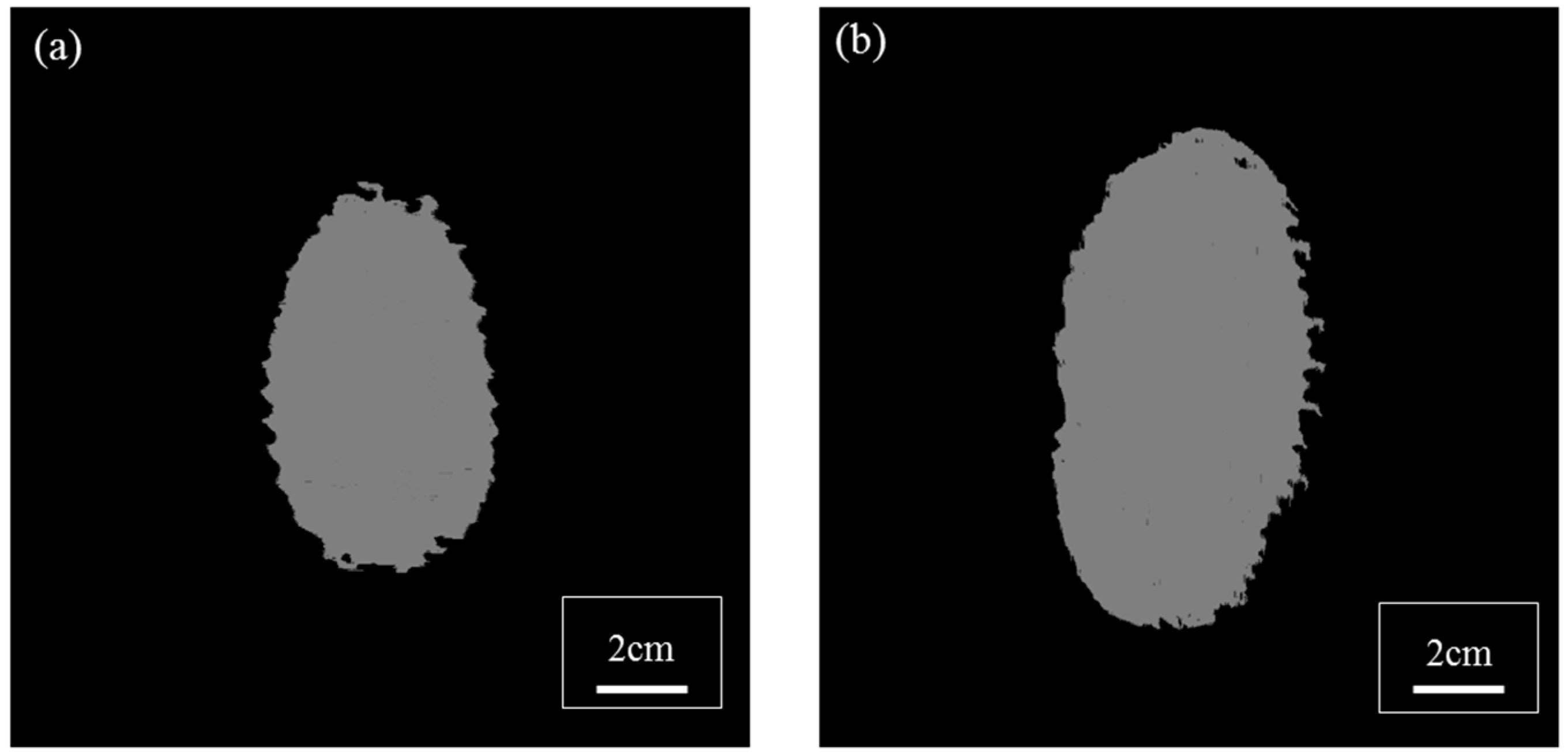 Polymers 11 00198 g007