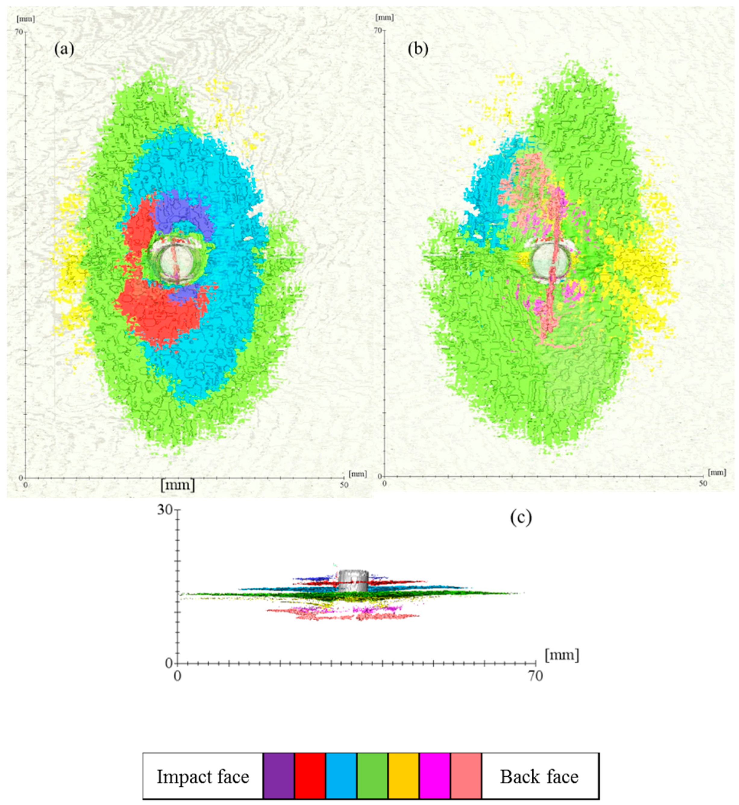 Polymers 11 00198 g008
