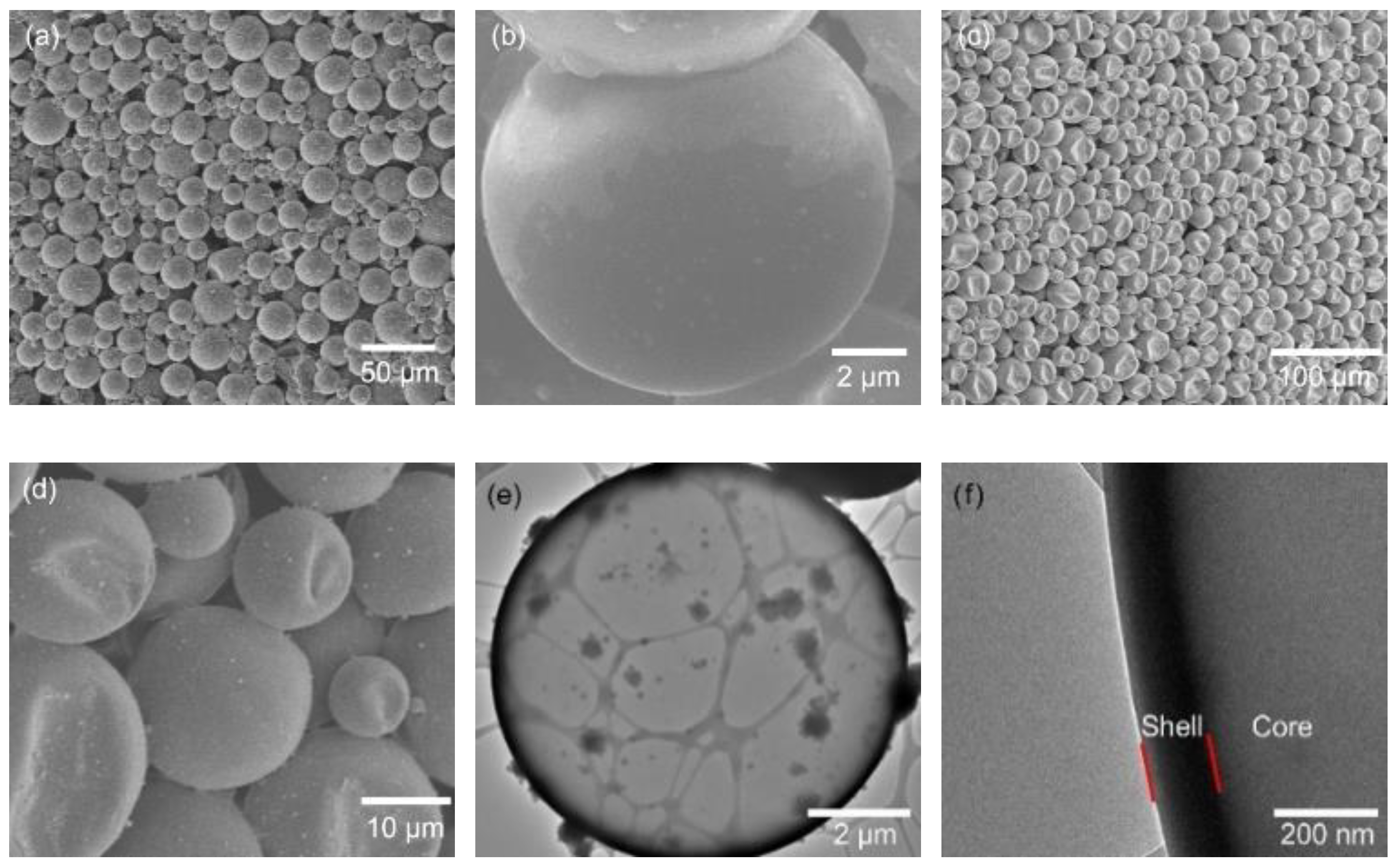 Polymers 11 00199 g001a