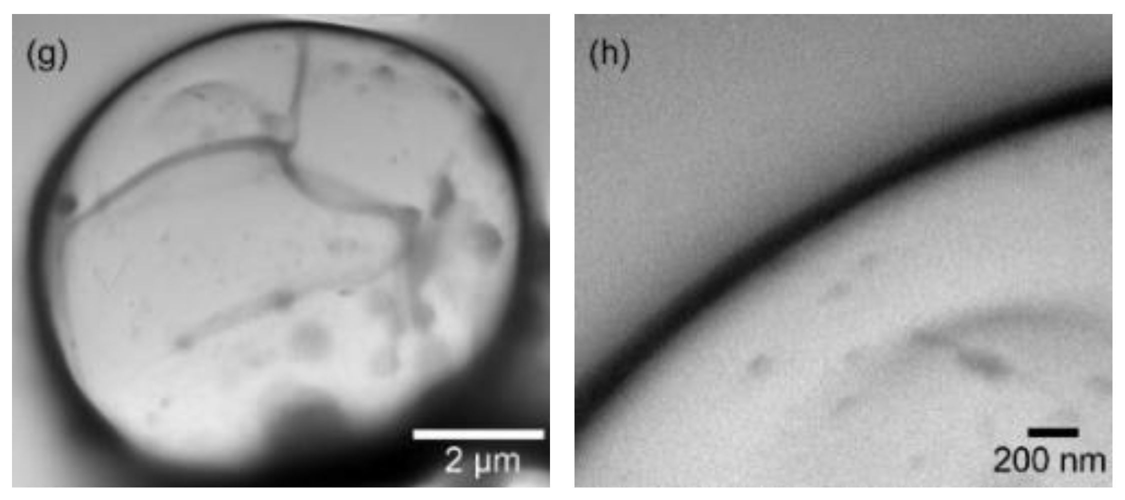 Polymers 11 00199 g001b