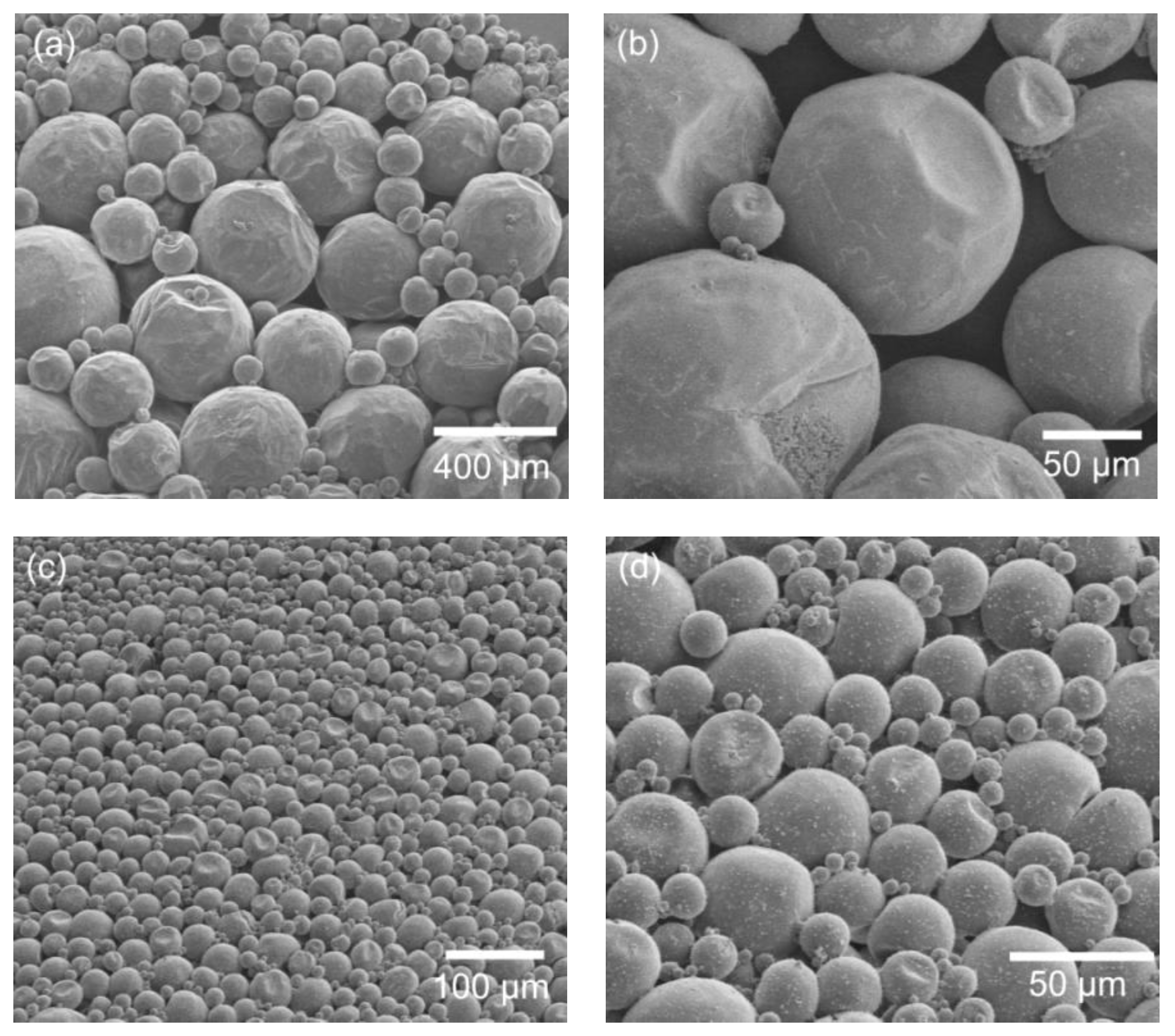 Polymers 11 00199 g003