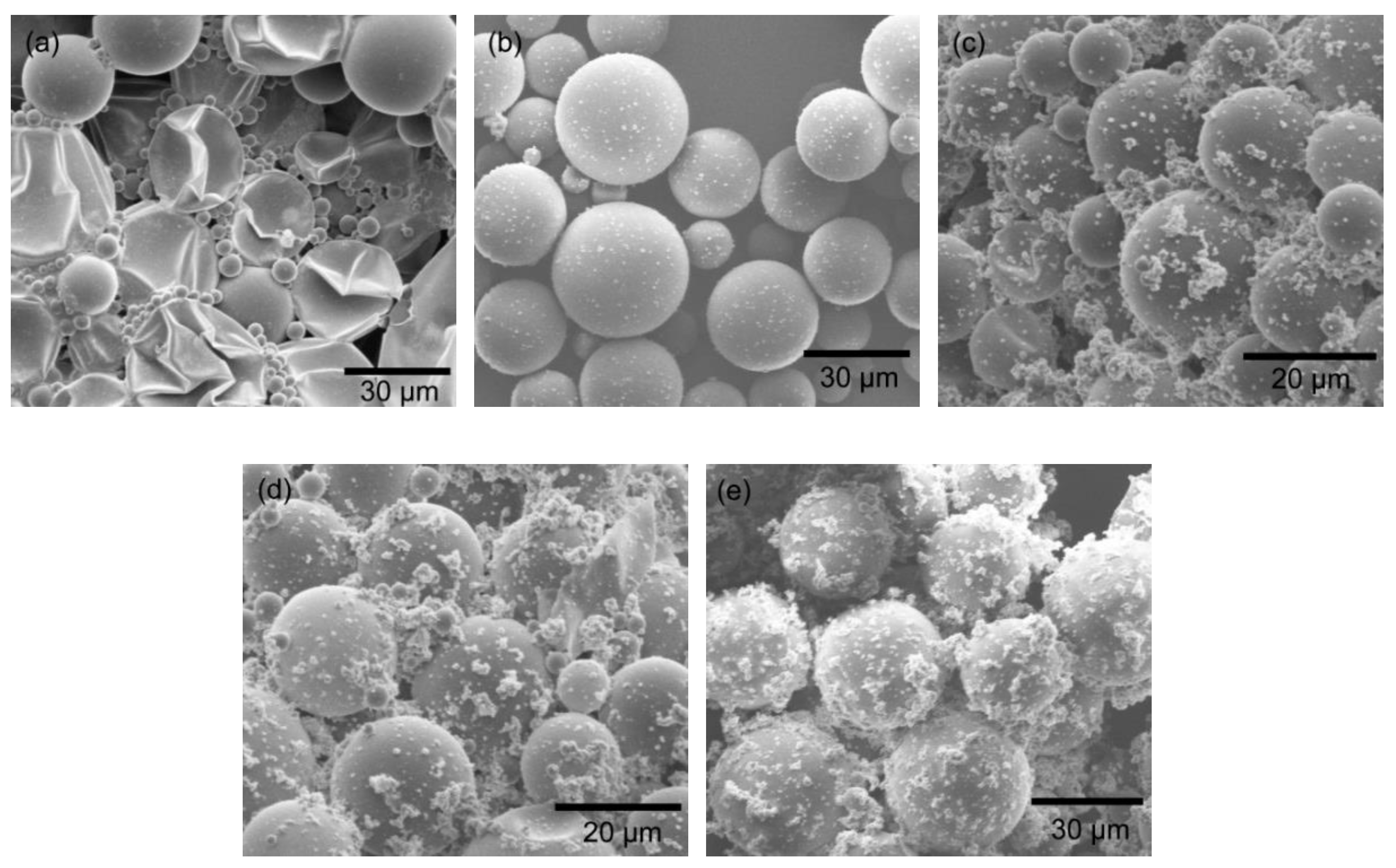 Polymers 11 00199 g004
