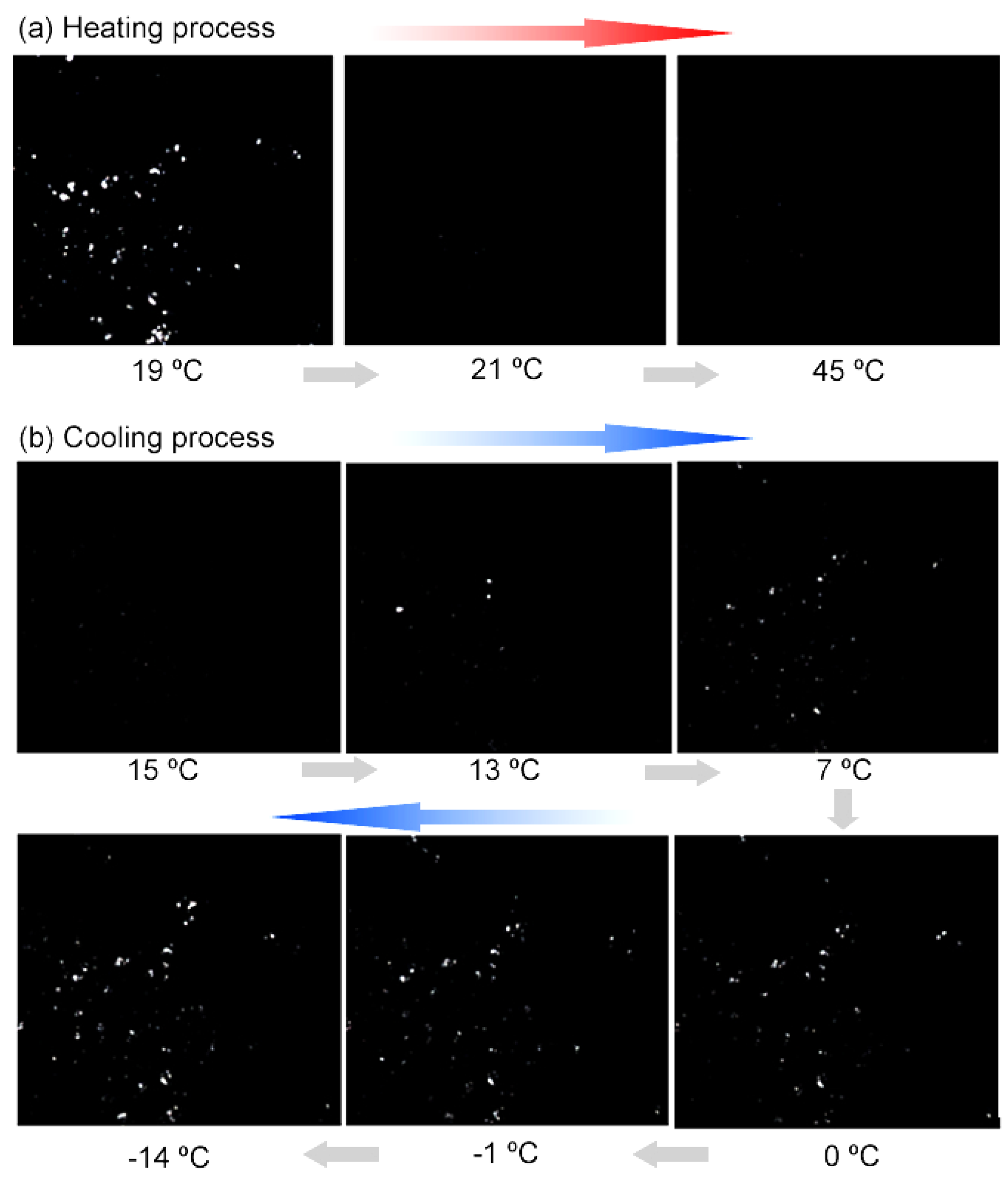 Polymers 11 00199 g008