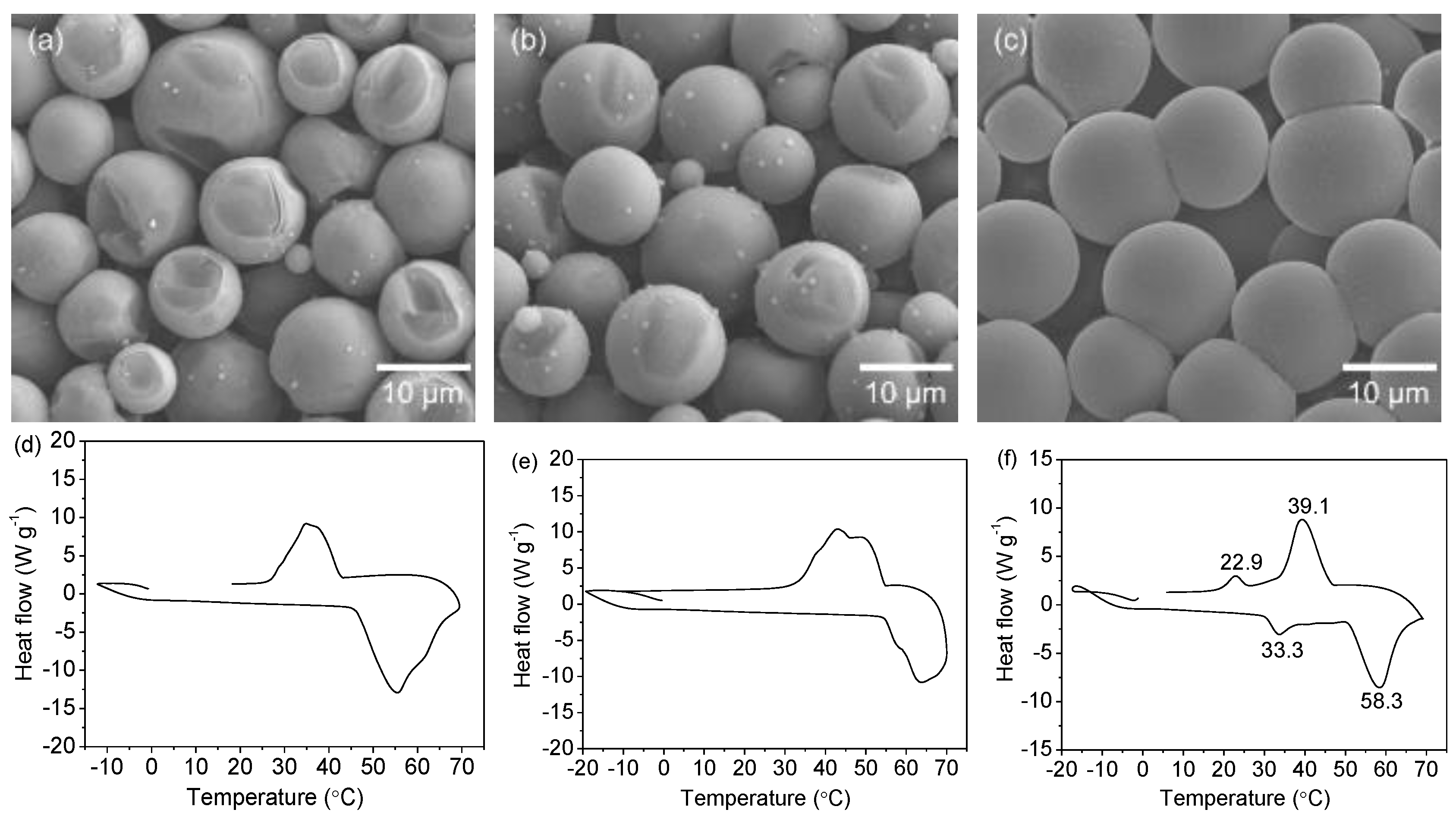 Polymers 11 00199 g009