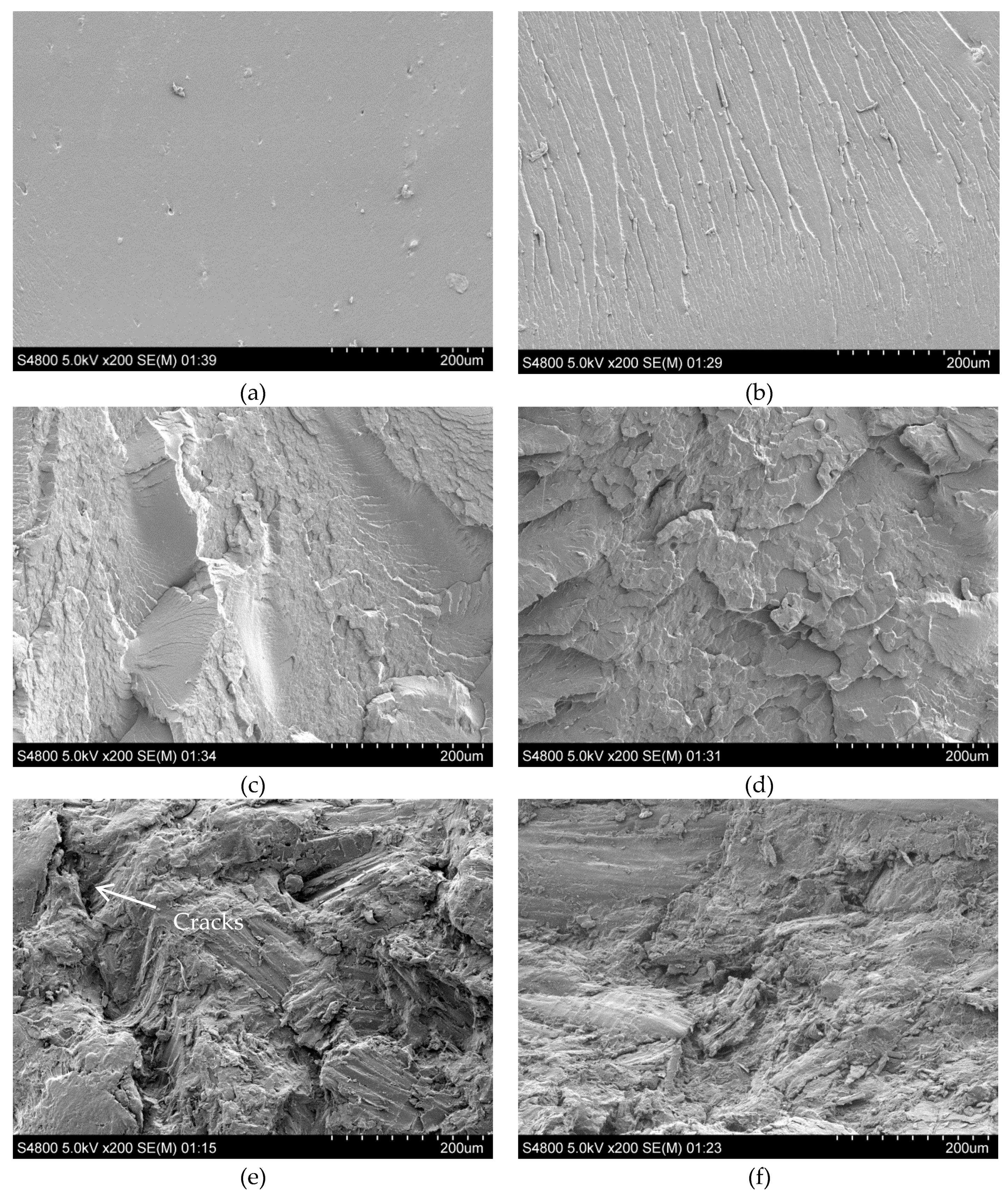 Polymers 11 00204 g004a