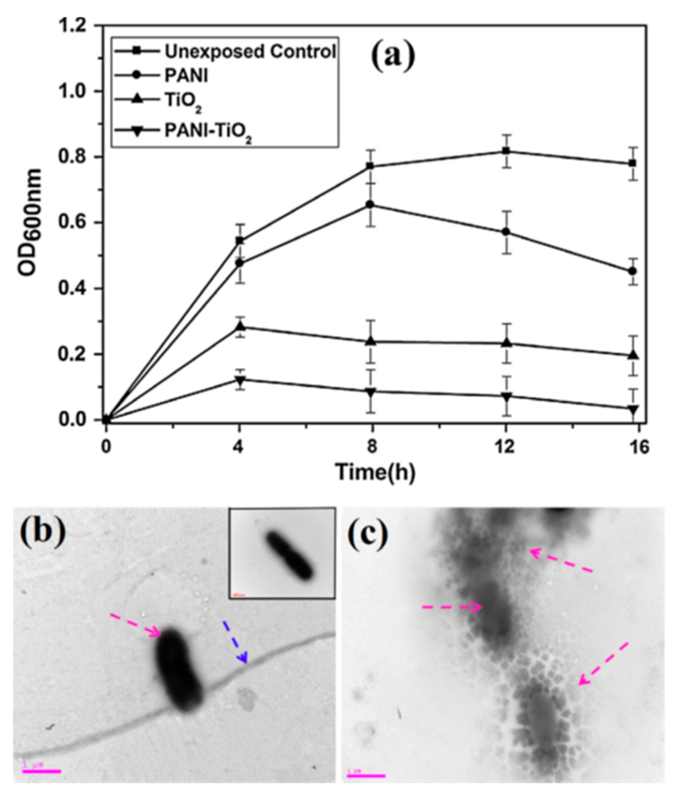 Polymers 11 00206 g005