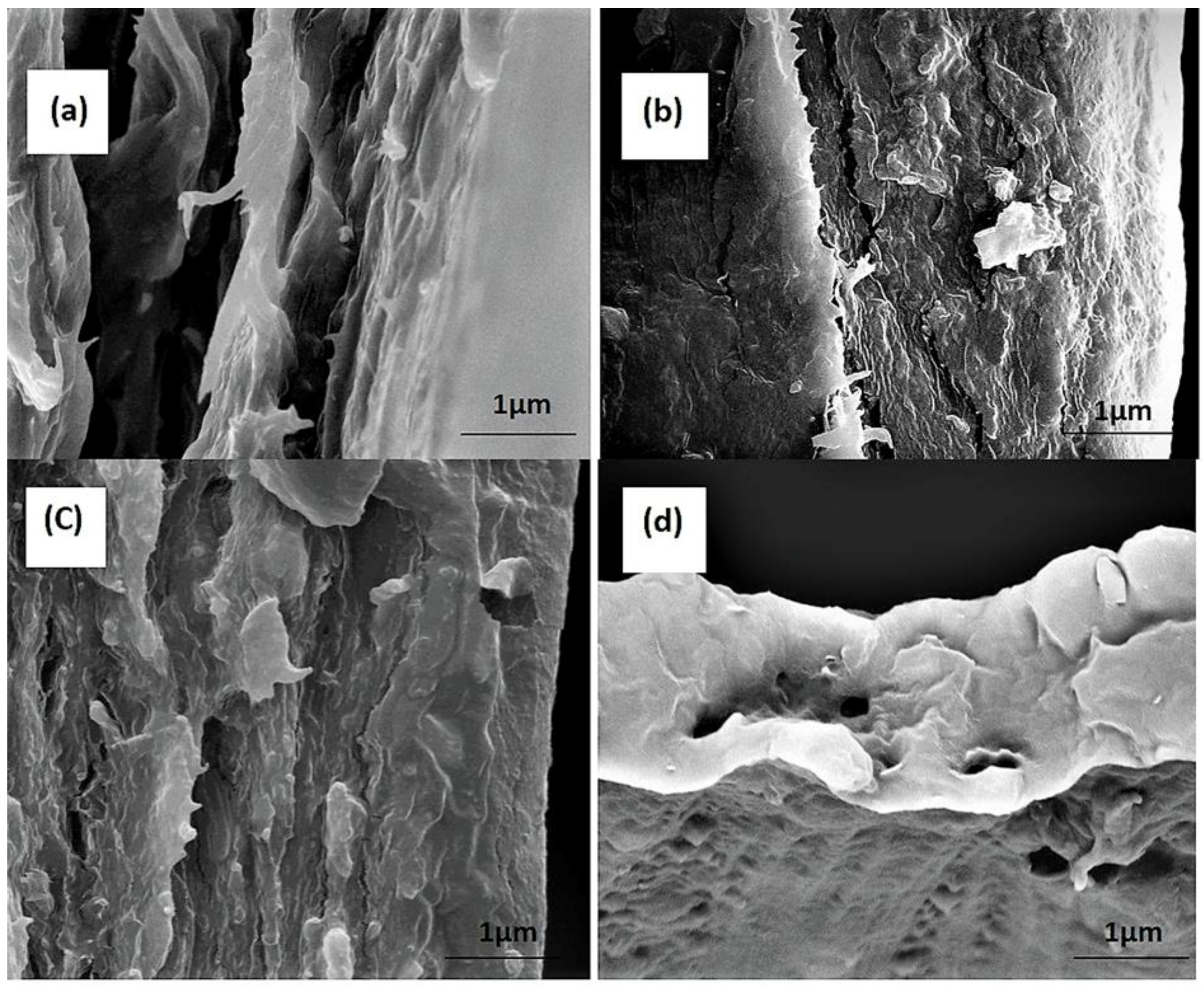 Polymers 11 00210 g004