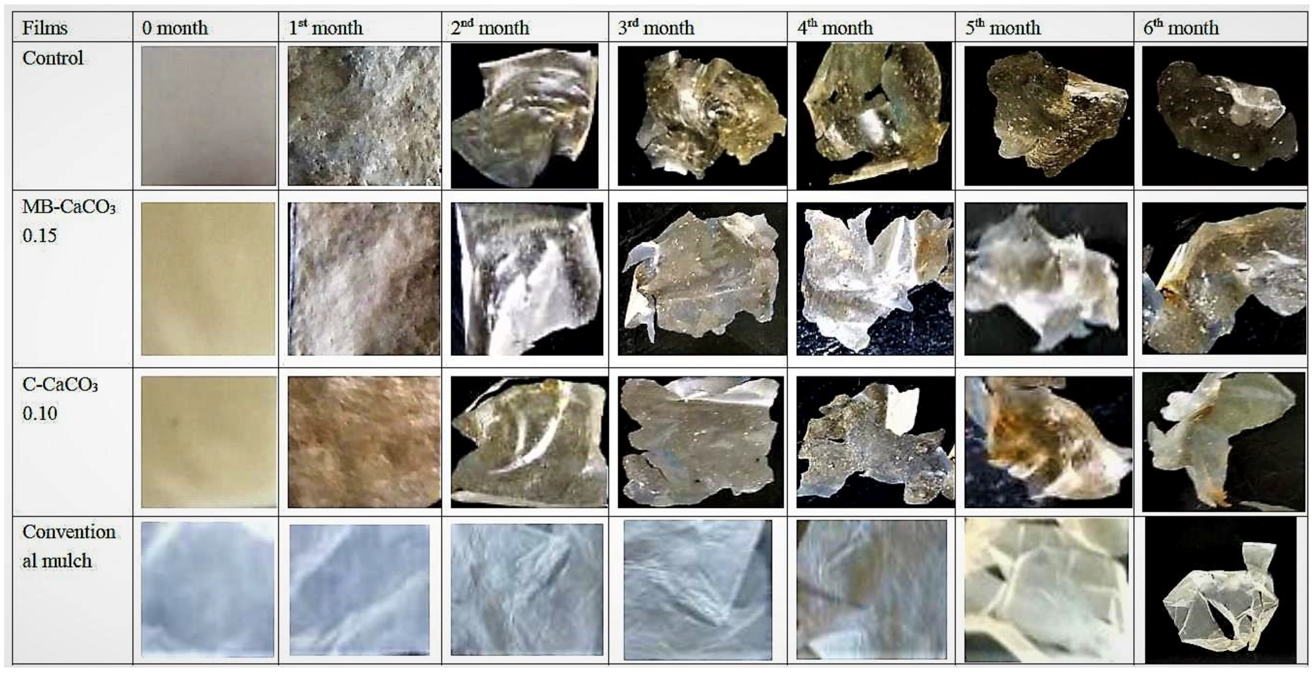 Polymers 11 00210 g006