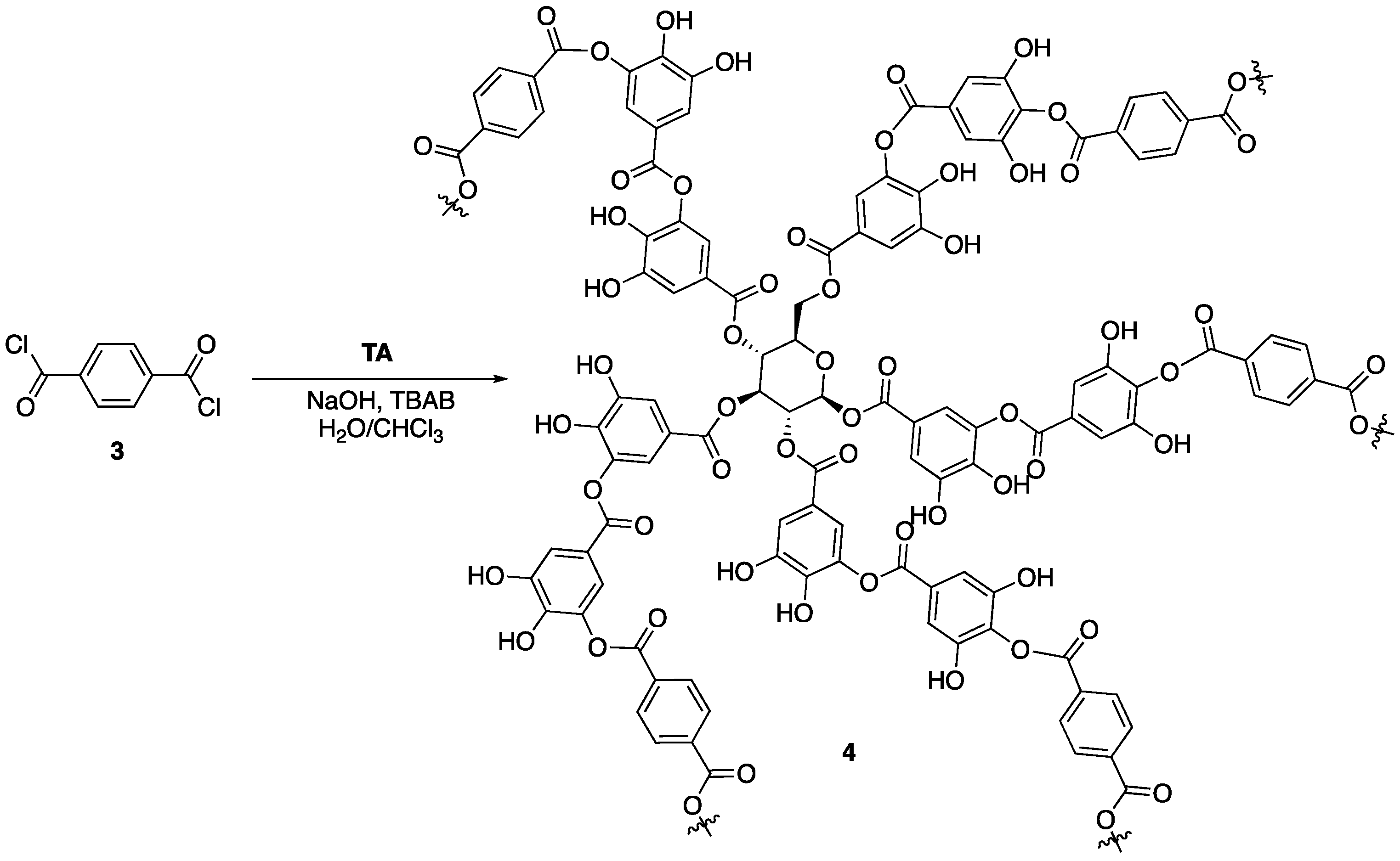 Polymers 11 00224 g004
