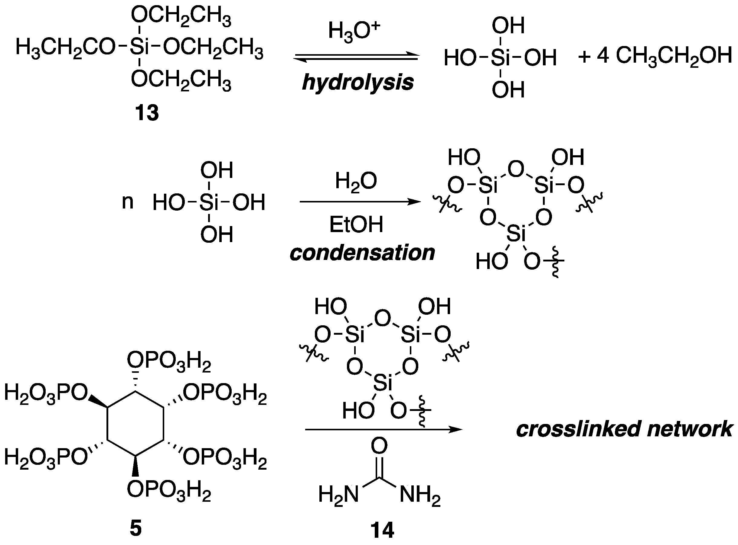 Polymers 11 00224 g010