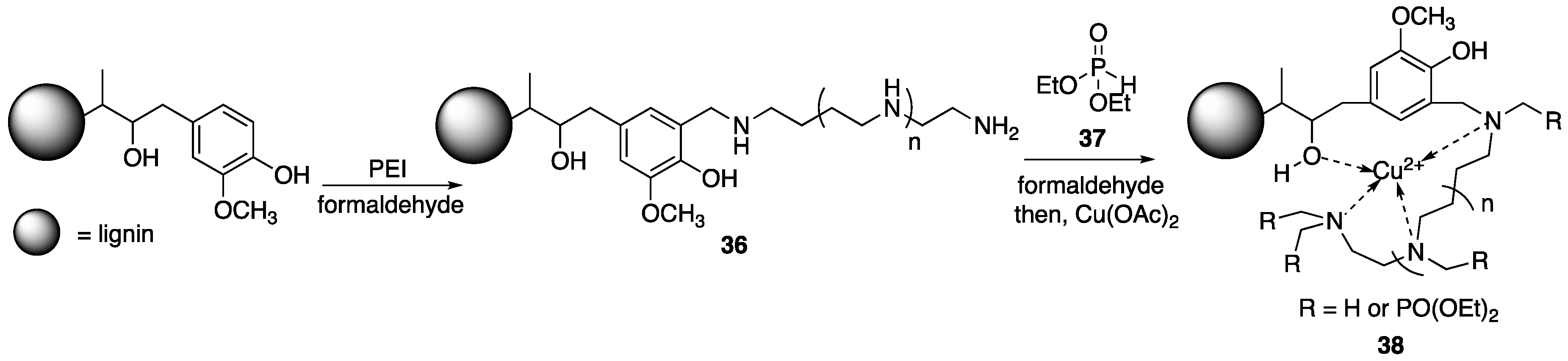 Polymers 11 00224 g019