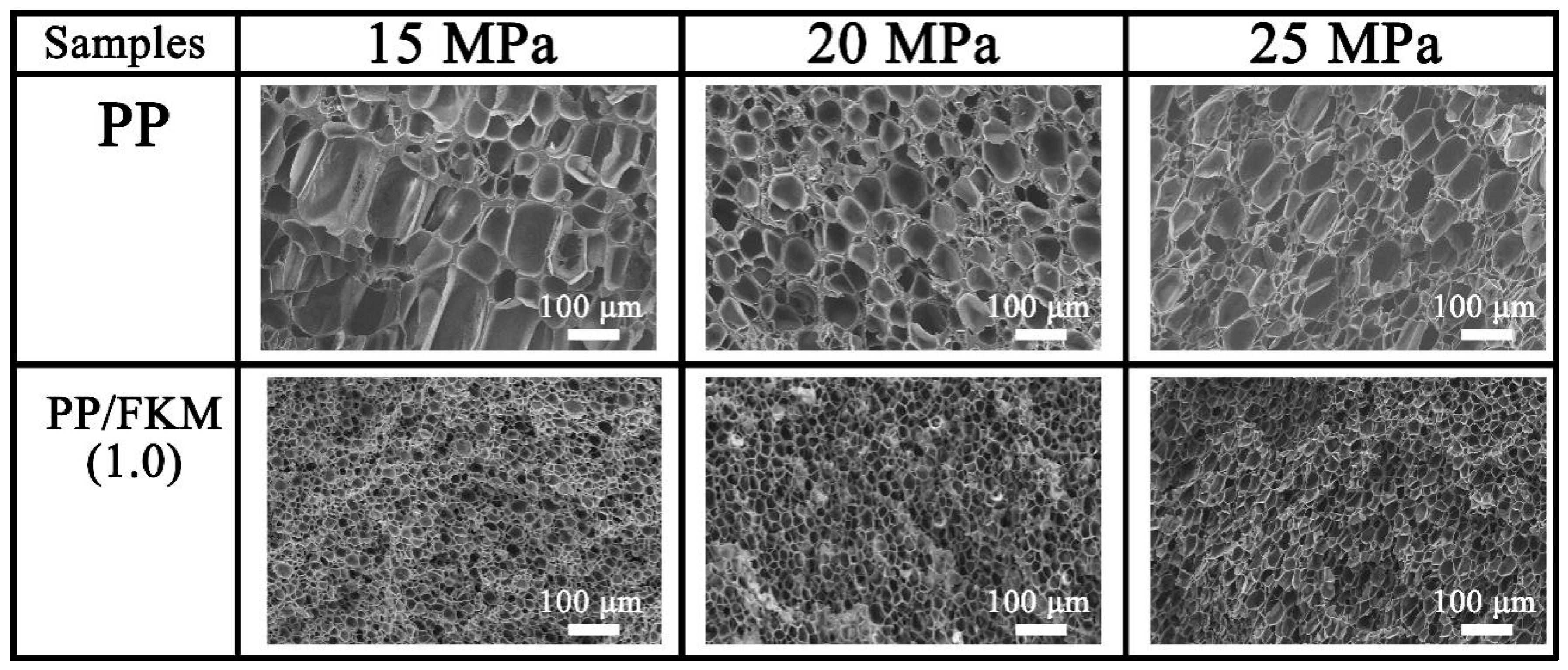 Polymers 11 00226 g006
