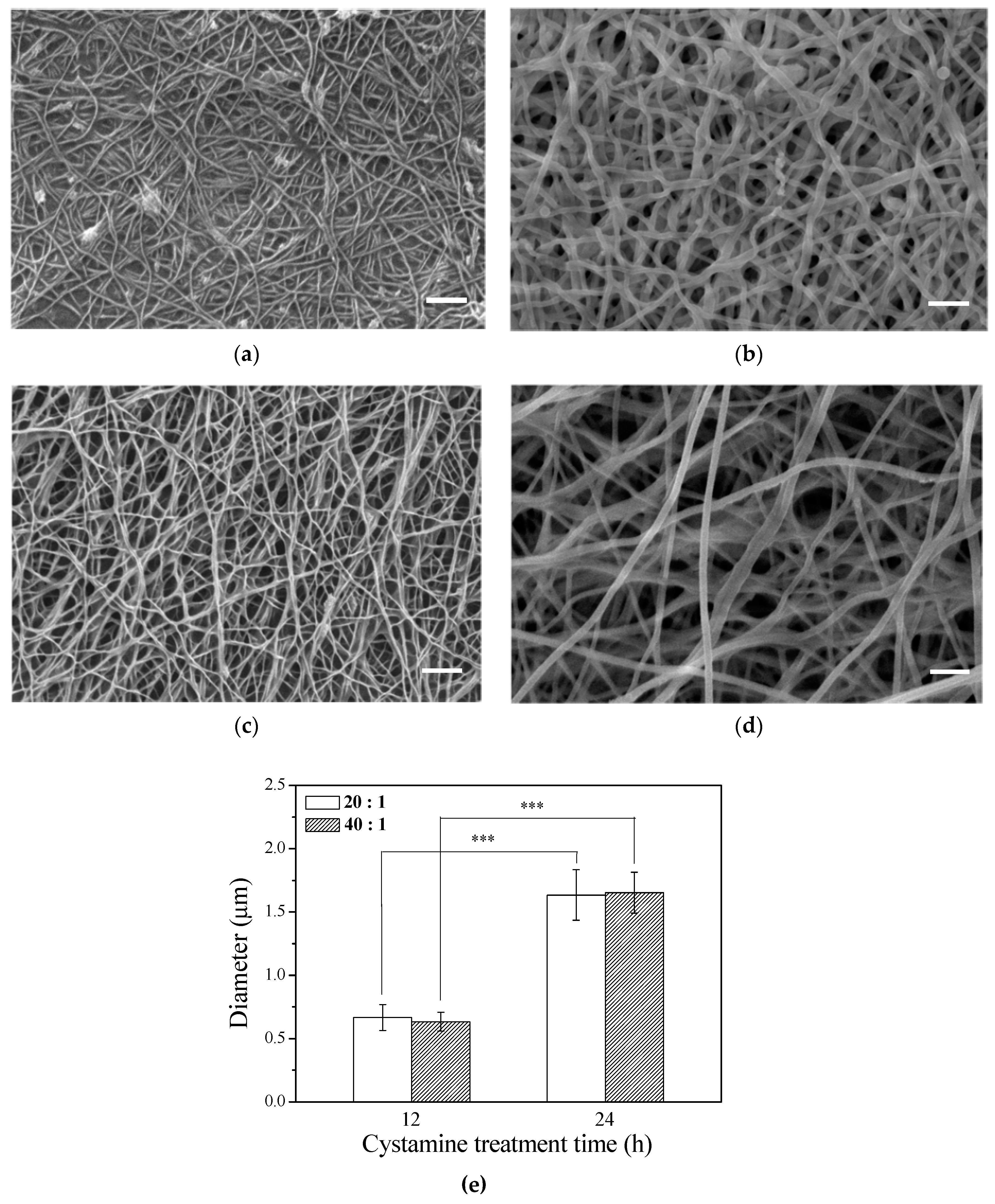 Polymers 11 00227 g001