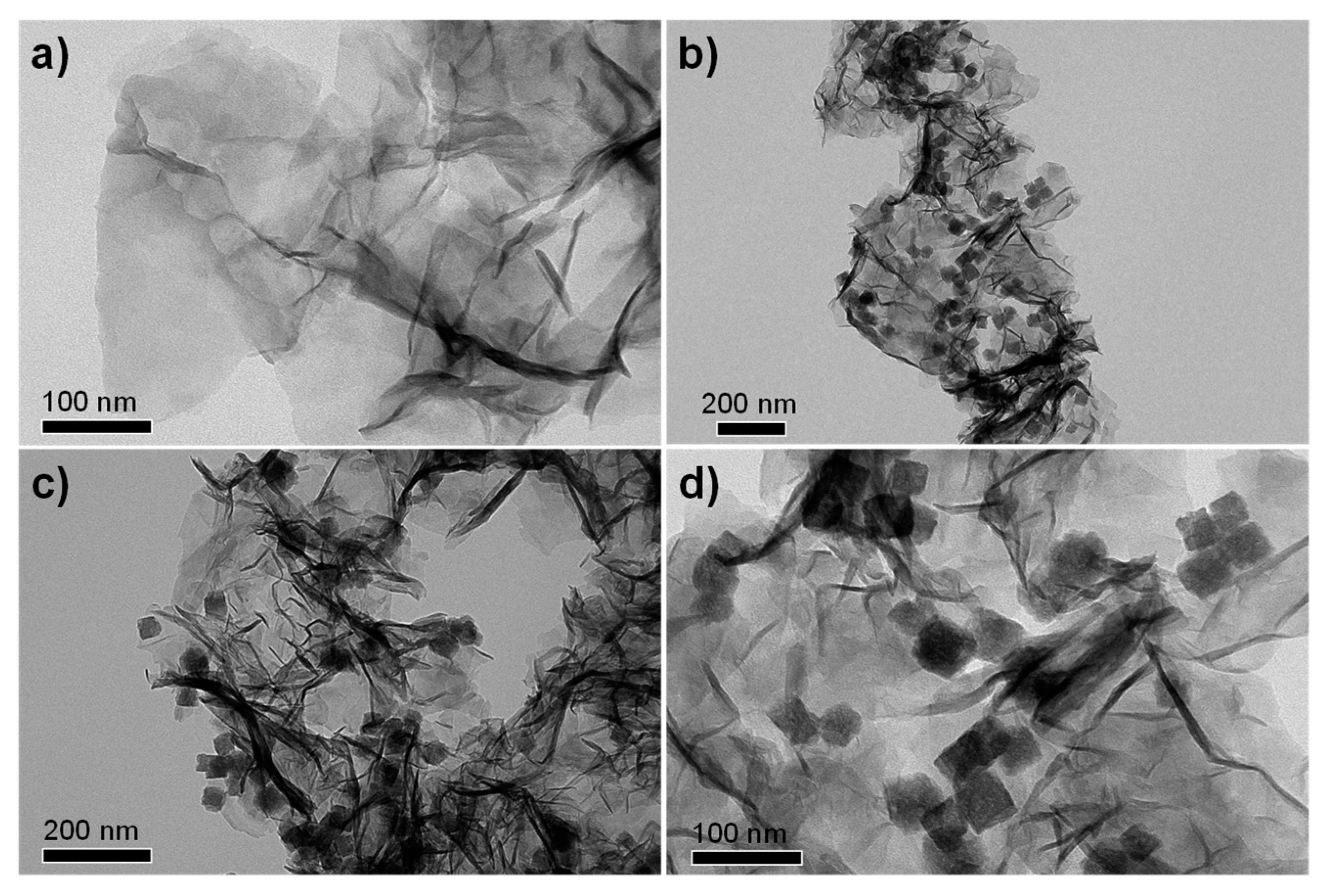 Polymers 11 00229 g002