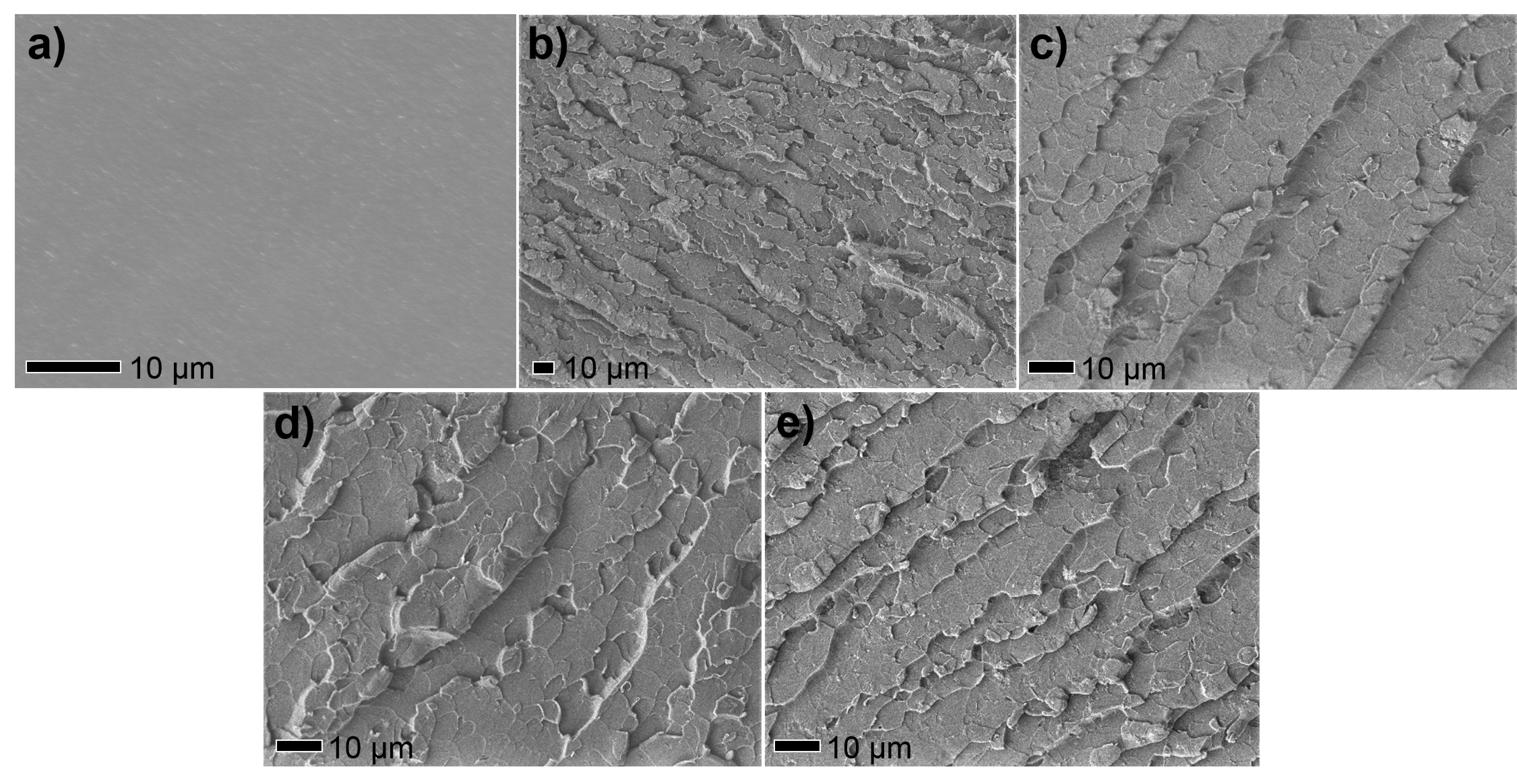 Polymers 11 00229 g007